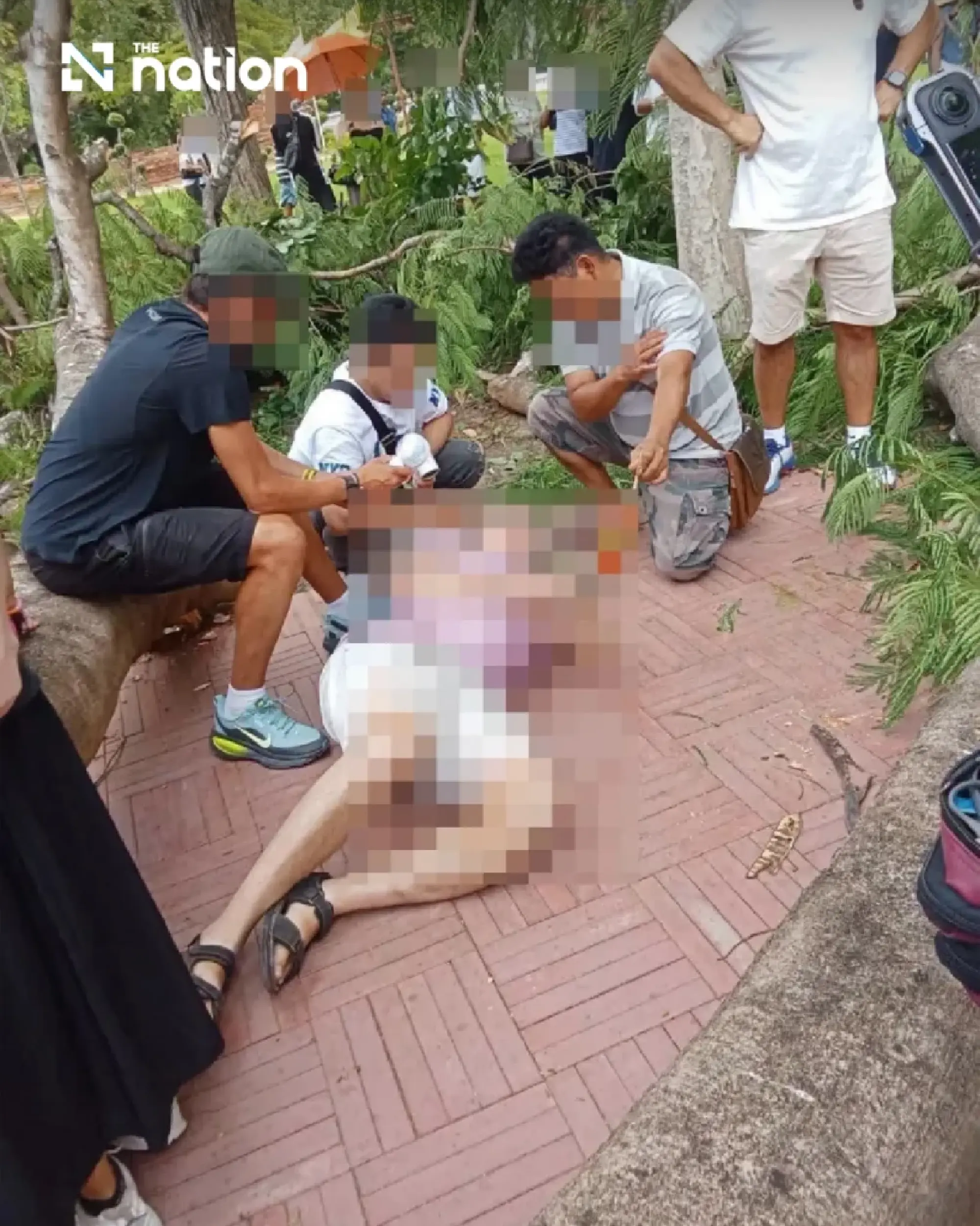 Four Spanish tourists injured by falling tree at Ayutthaya temple