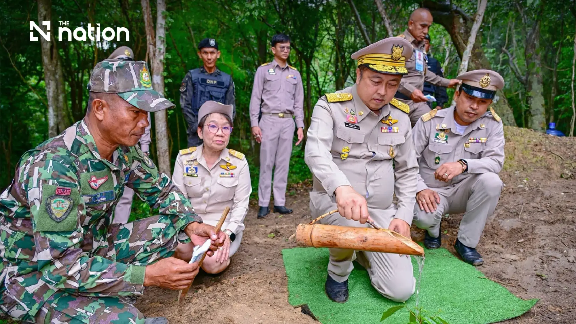 Twenty dead-standing sandalwood trees chosen for royal rites