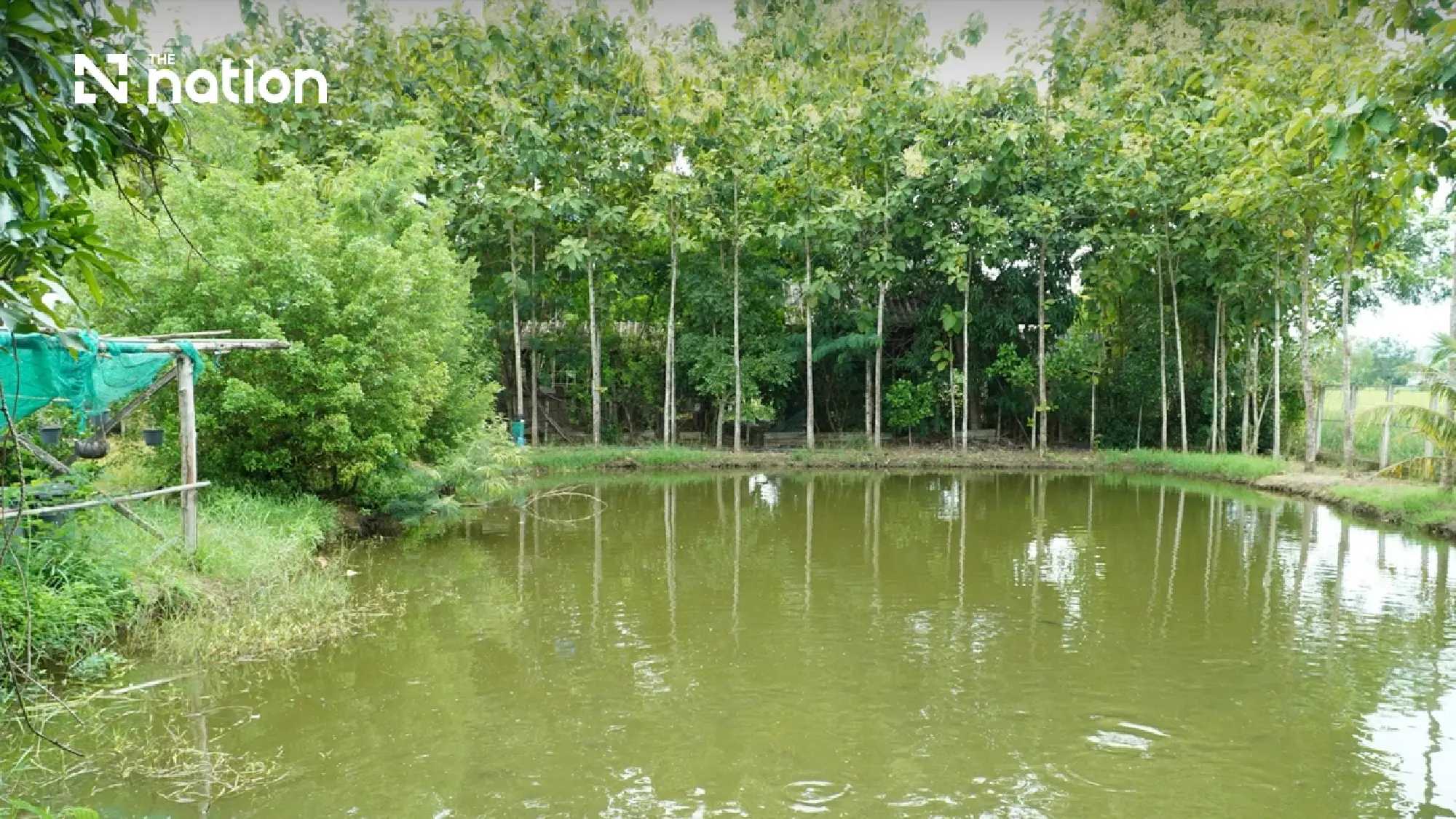 Royal water project lifts farming and livelihoods in Chiang Mai