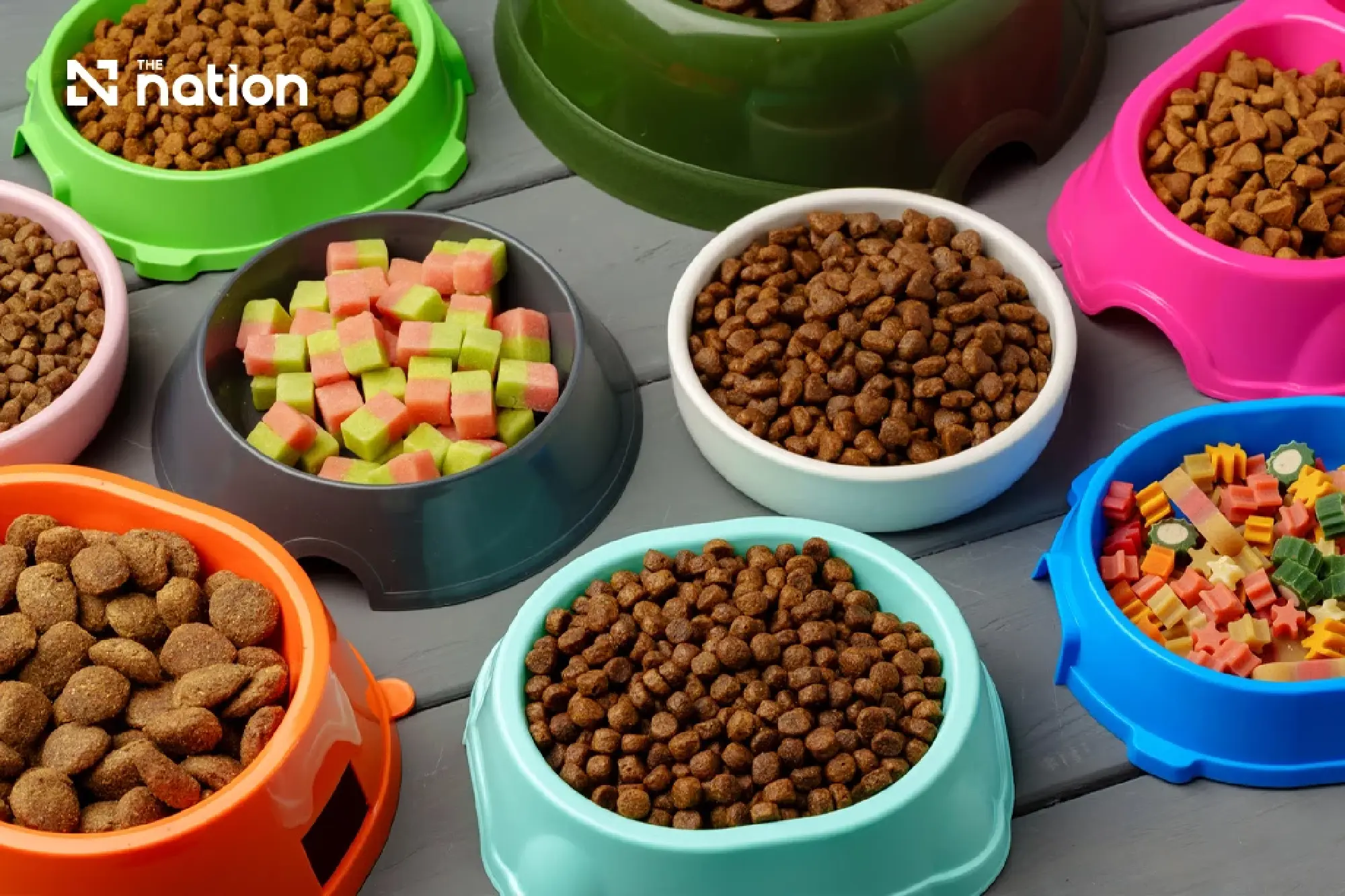 Thailand Retains Rank as World’s Second-Largest Pet Food Exporter
