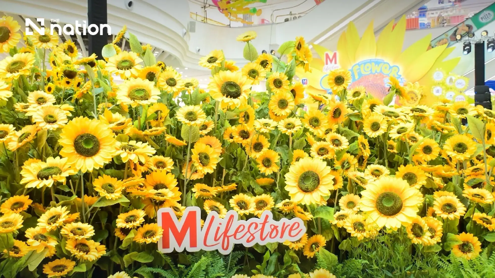 1 Million Sunflowers Bloom in the Heart of Bangkok! The Mall Lifestore Bangkapi Celebrates National Mother's Day