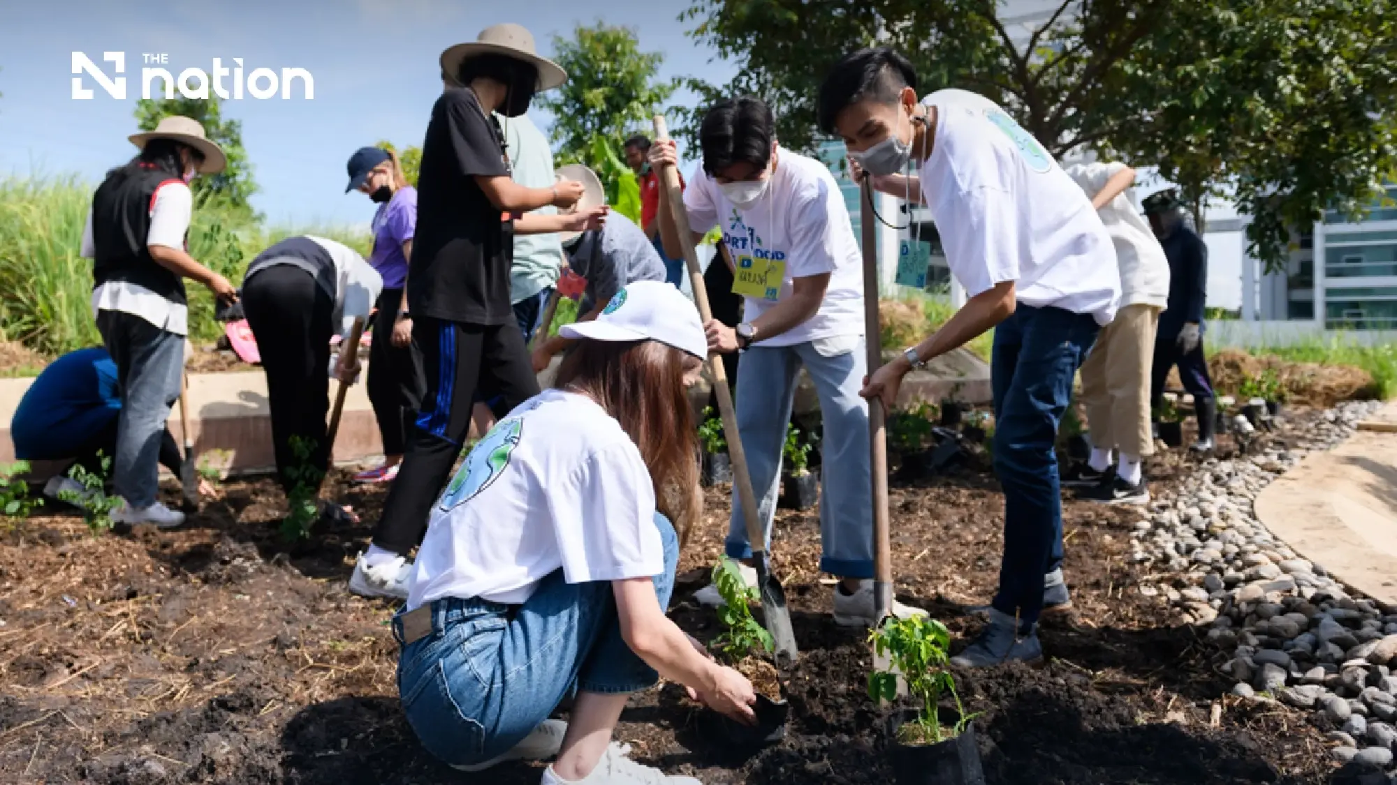 Green Rules, Real Risk: Thailand's Trade Survival Test