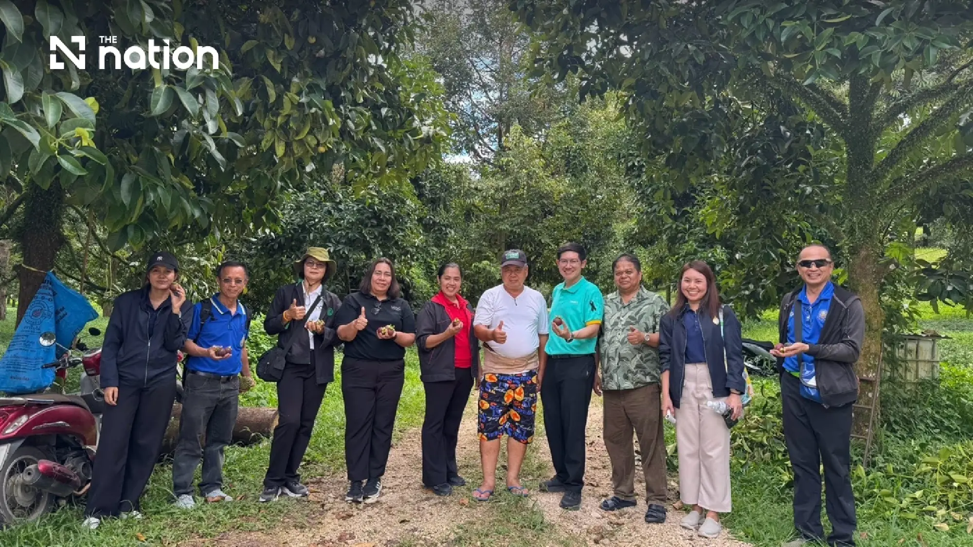 Betong oranges and mangosteens assessed under Thai GI standards