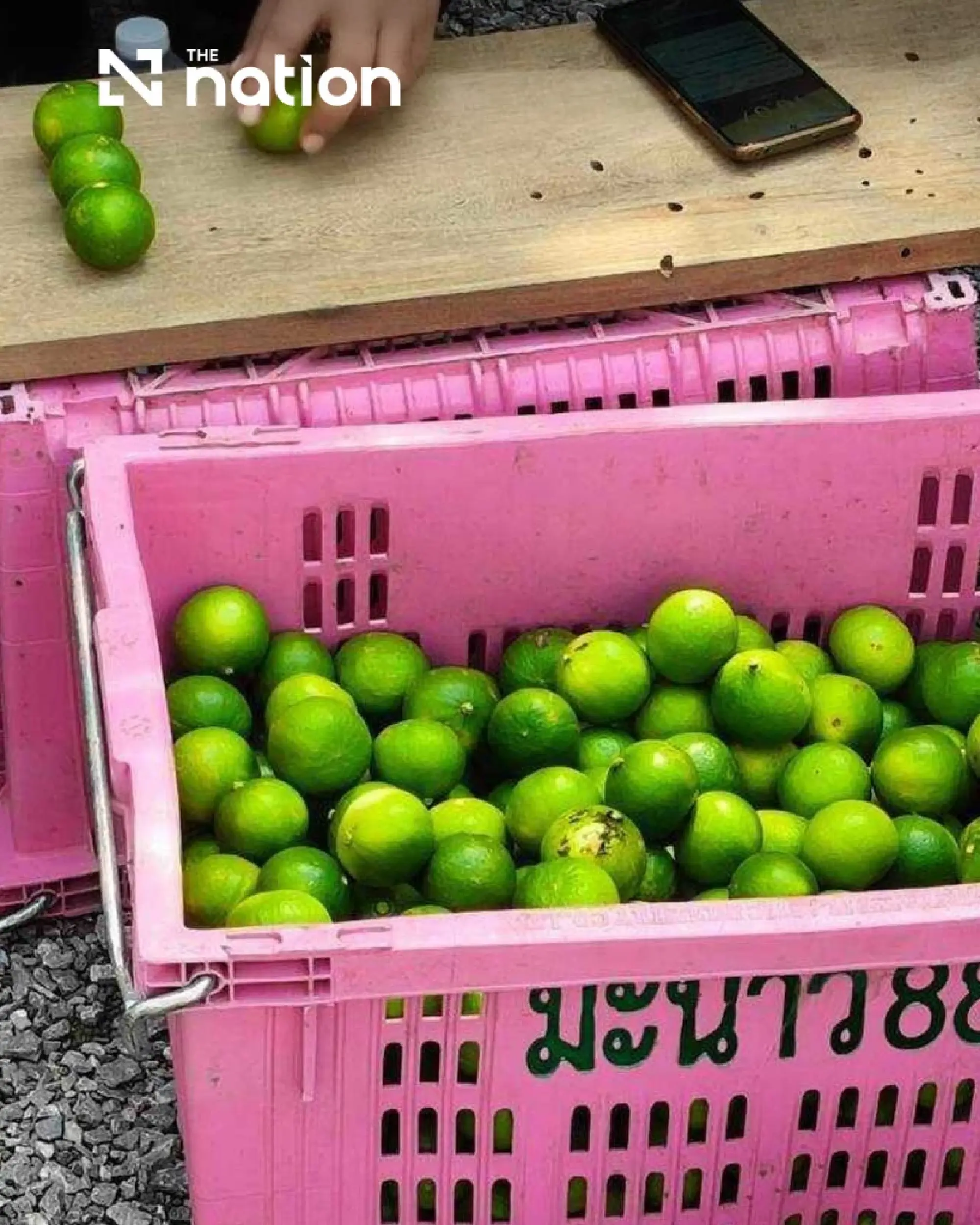 Two Ratchaburi fruits gain GI status to boost local economy