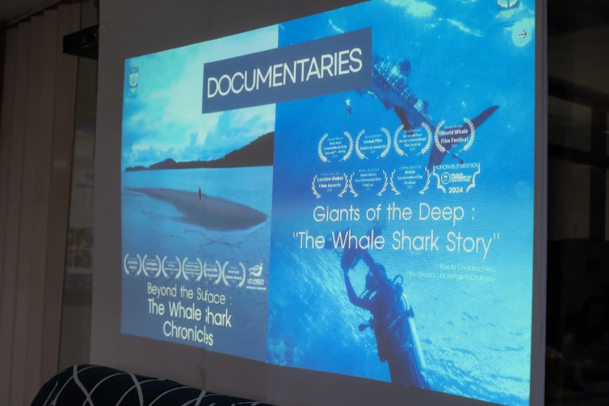 Teen Launches BlueQuest App For Marine Conservation & Travel