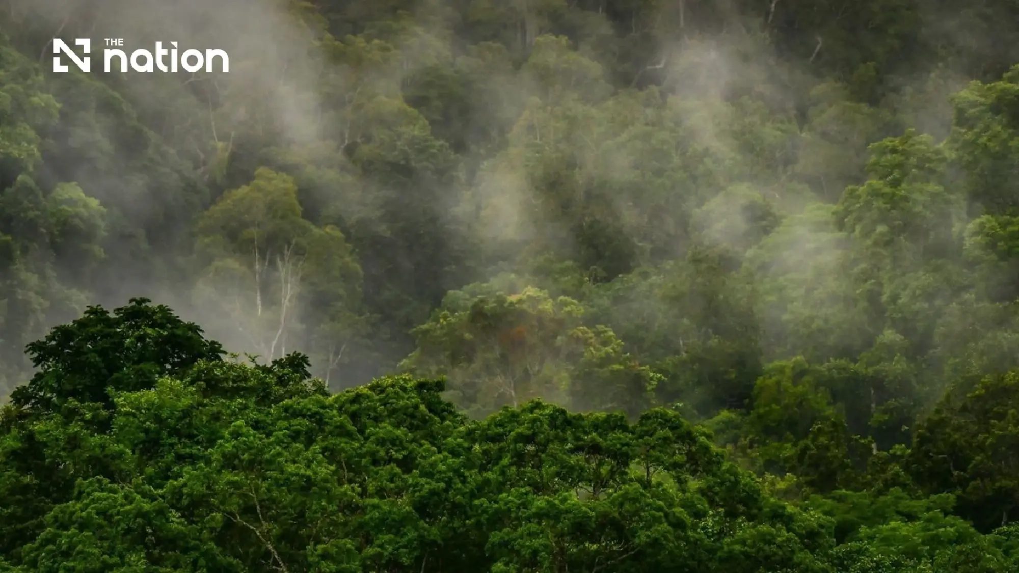 Thailand launches 10 hiking schools for responsible forest tourism