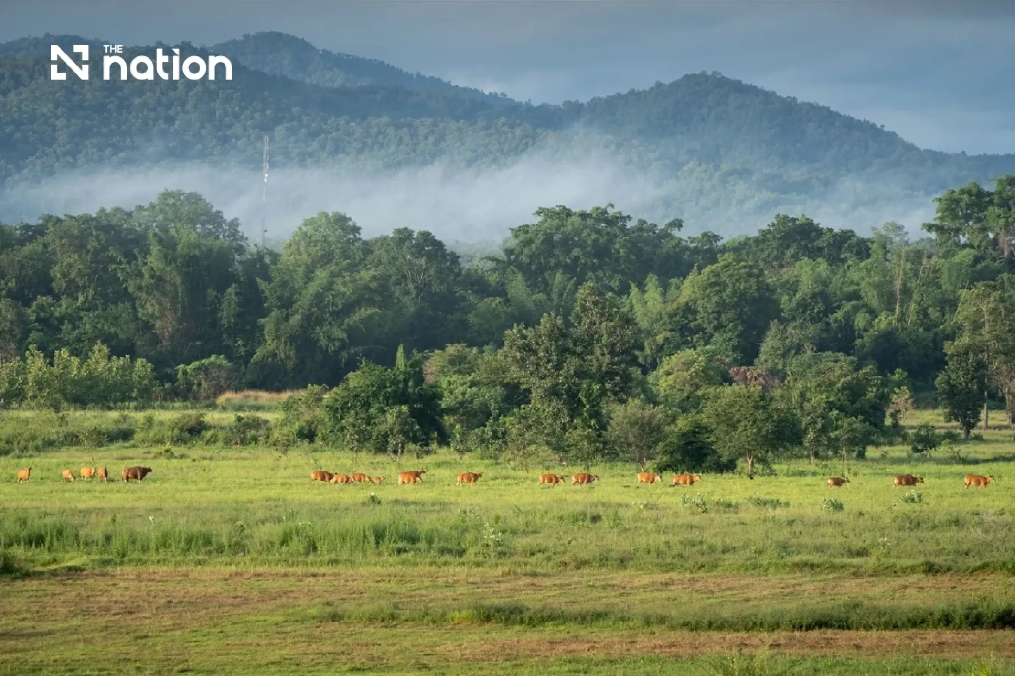 Uthai Thani traces living heritage from raft houses to ancient forests