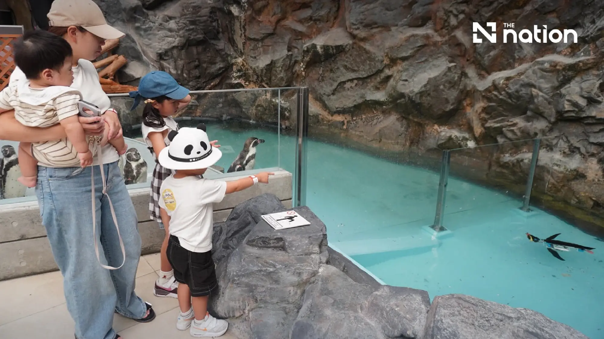 Japanese theme park displays two robot penguins among live penguins
