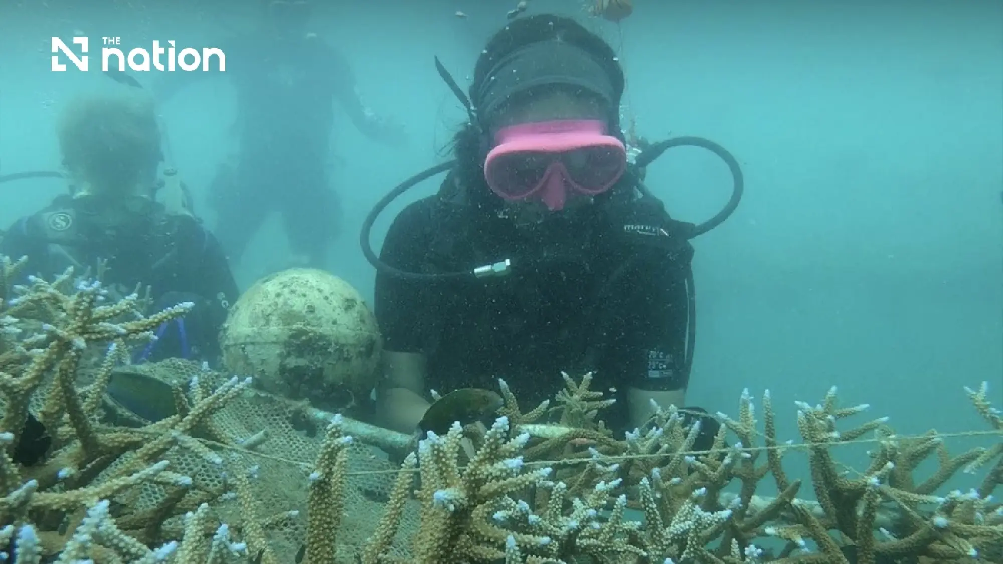 Meet the Thai Youth Bridging the Gap Between Classrooms and Reefs