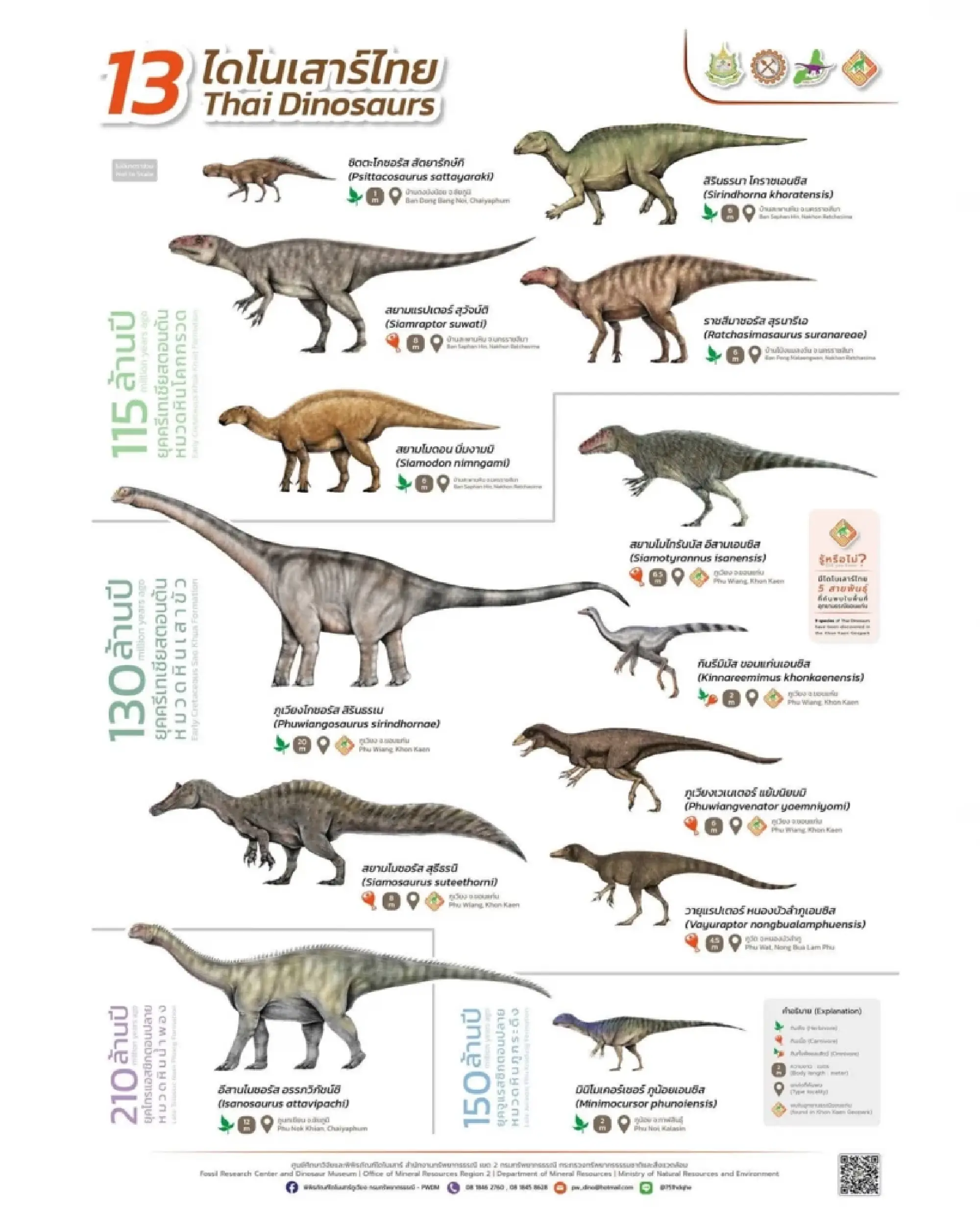 The Dawn of the Siamese Giants: Celebrating 50 Years of Thailand’s Dinosaur Renaissance