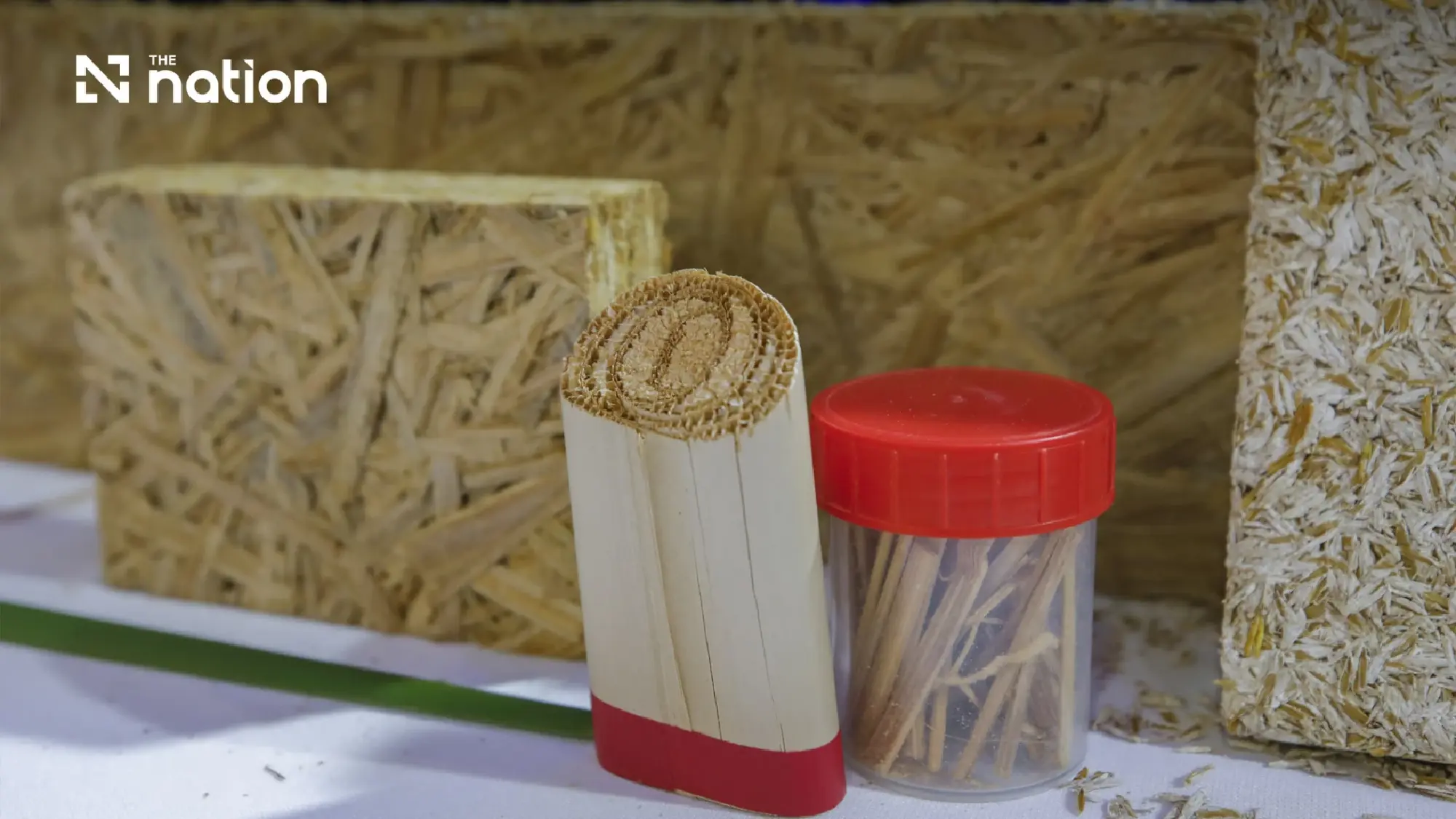 'Typha Pilot House': A Green Innovation to Fight Global Warming