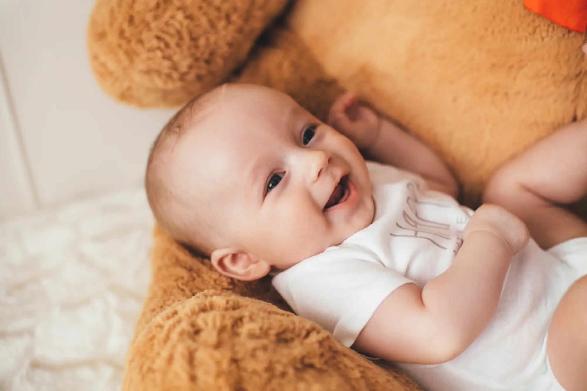 SAFE Fertility Group Marks 20 Years Driving Innovation in Regional IVF Market