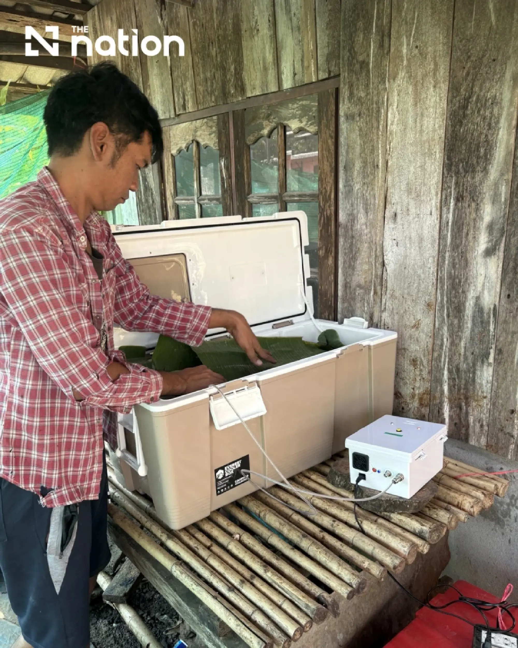 Thai Student Turns Backyard Cacao Experiments Into Fermentation Technology and Craft Chocolate