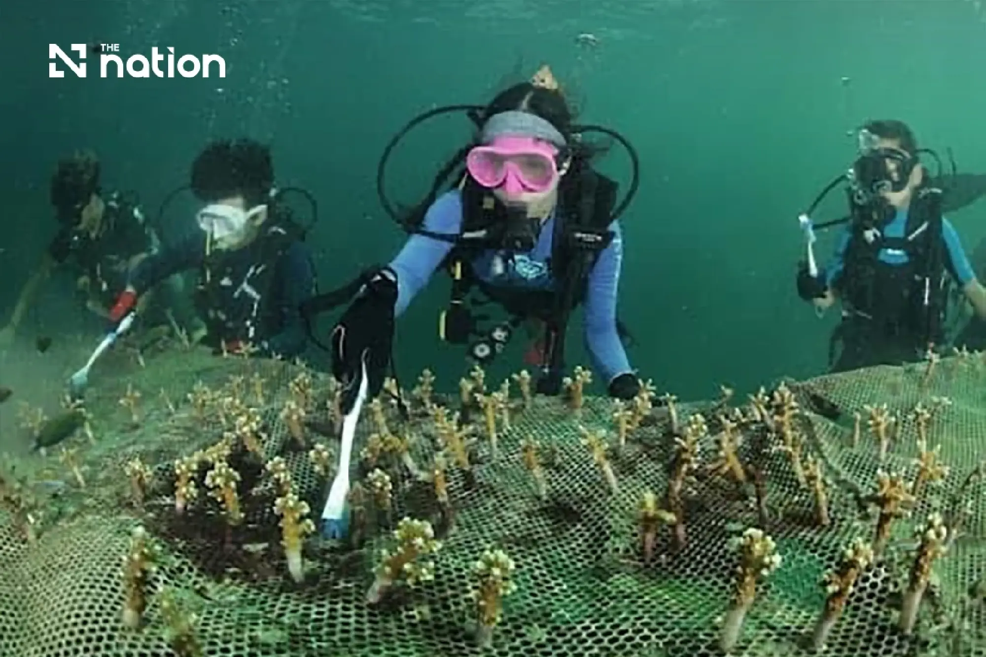 Meet the Thai Youth Bridging the Gap Between Classrooms and Reefs