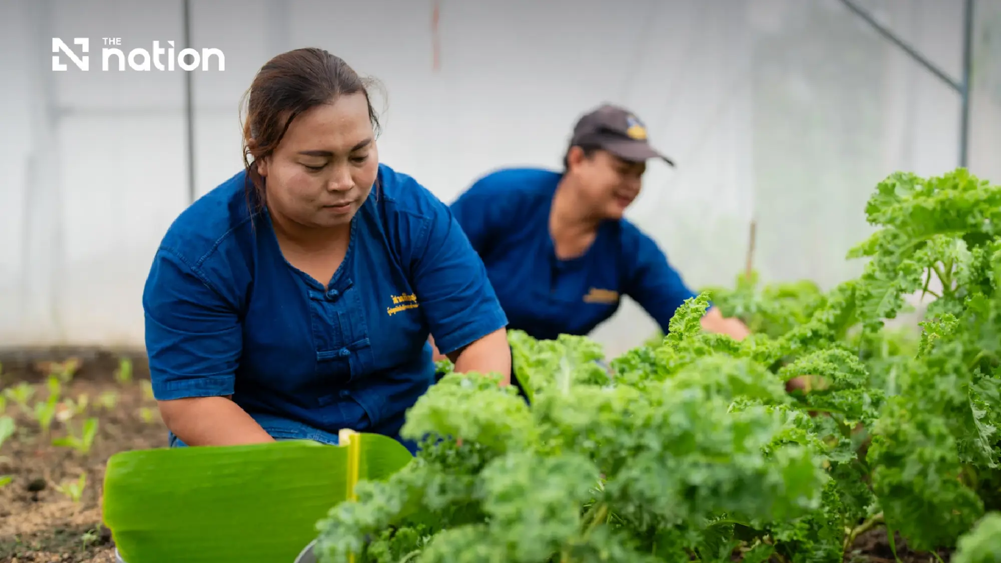 From Solar Power to Sustainable Livelihoods, How Clean Energy is Bringing Families Back Home in Udon Thani