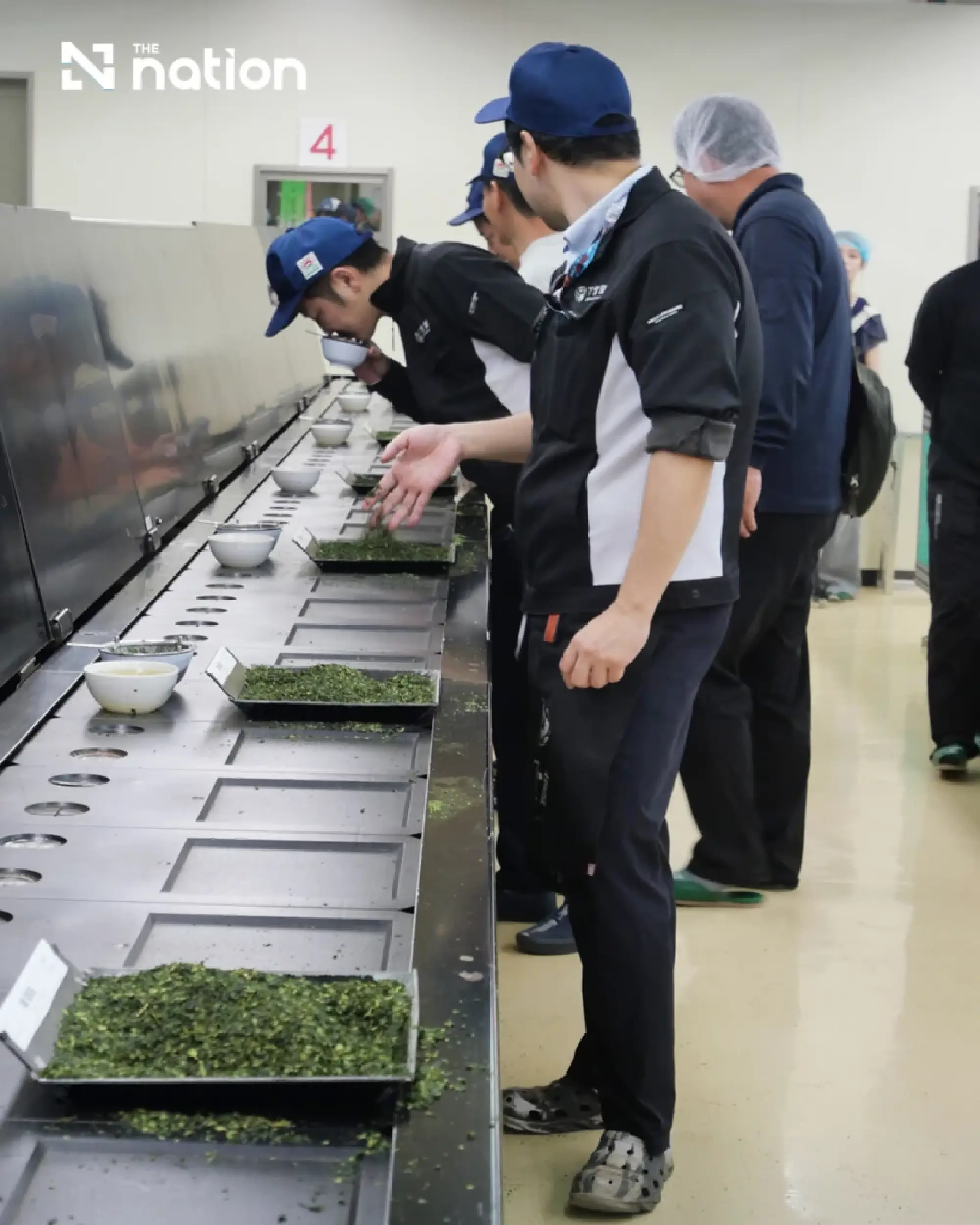Matcha demand more than doubles the price of raw material in Japan