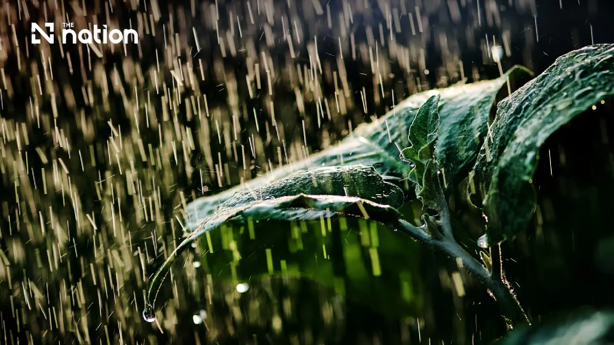 TMD warns of flash floods with heavy rain in four regions