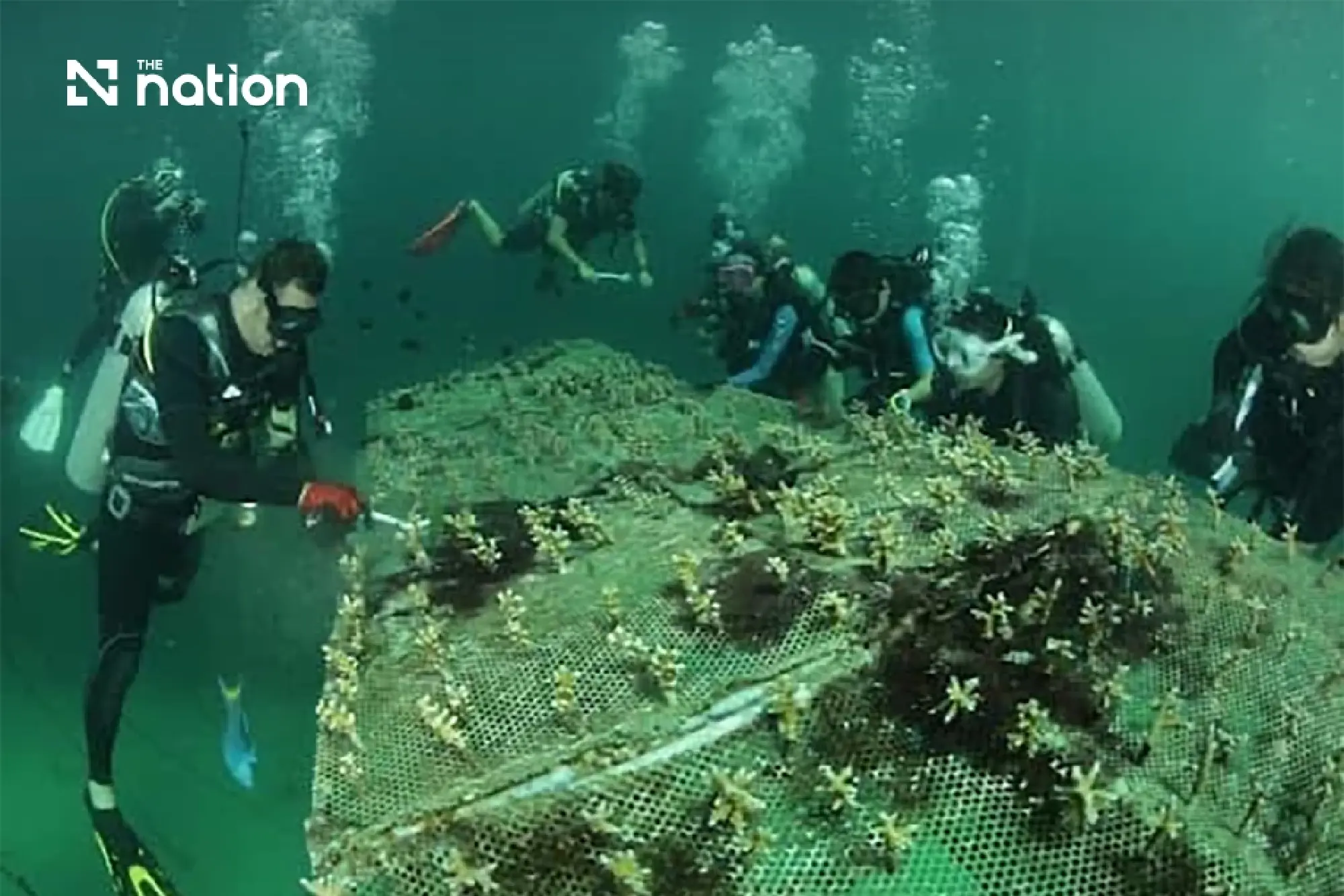 Meet the Thai Youth Bridging the Gap Between Classrooms and Reefs