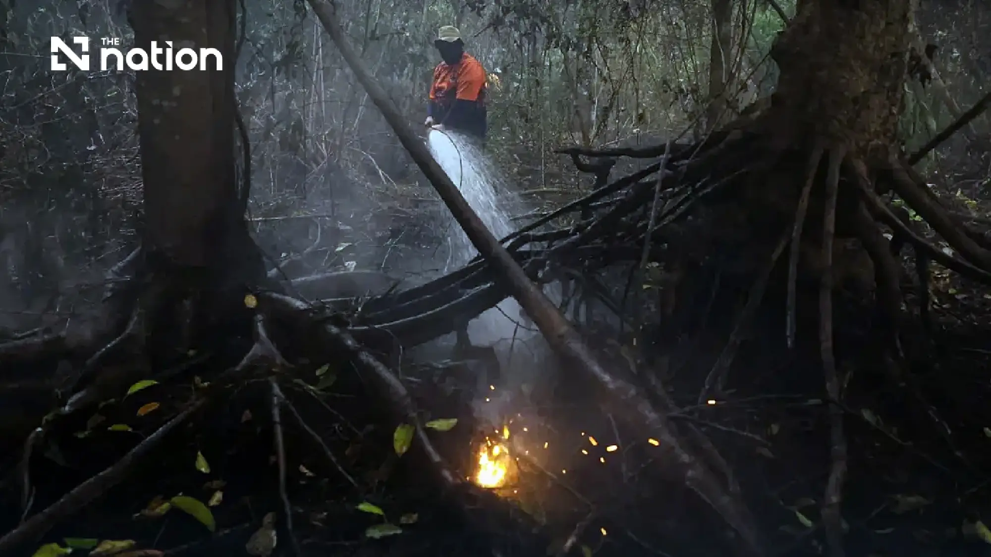 Indonesia fires burn over 64,000 hectares in a week as Thailand watches wind direction