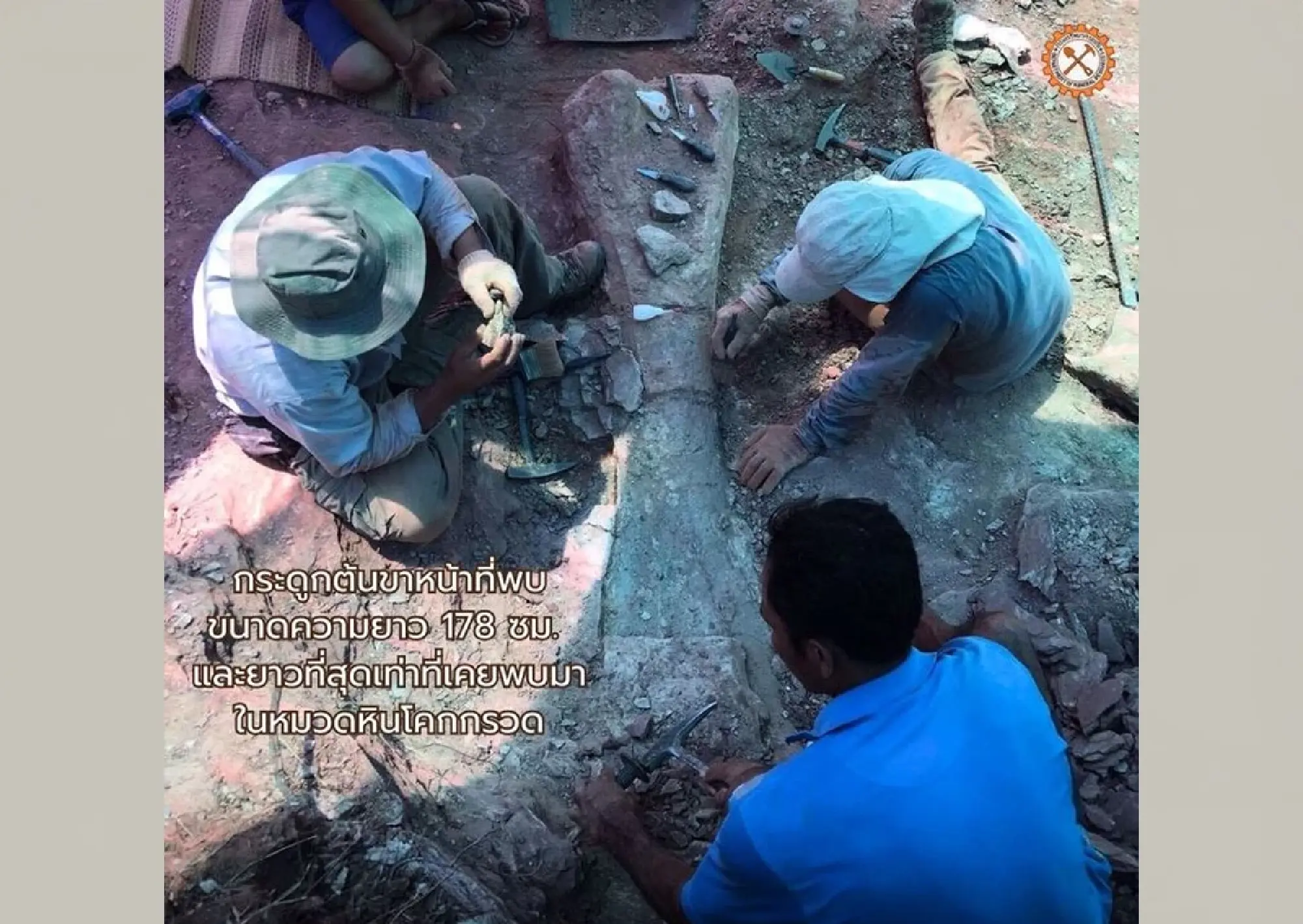 The Dawn of the Siamese Giants: Celebrating 50 Years of Thailand’s Dinosaur Renaissance