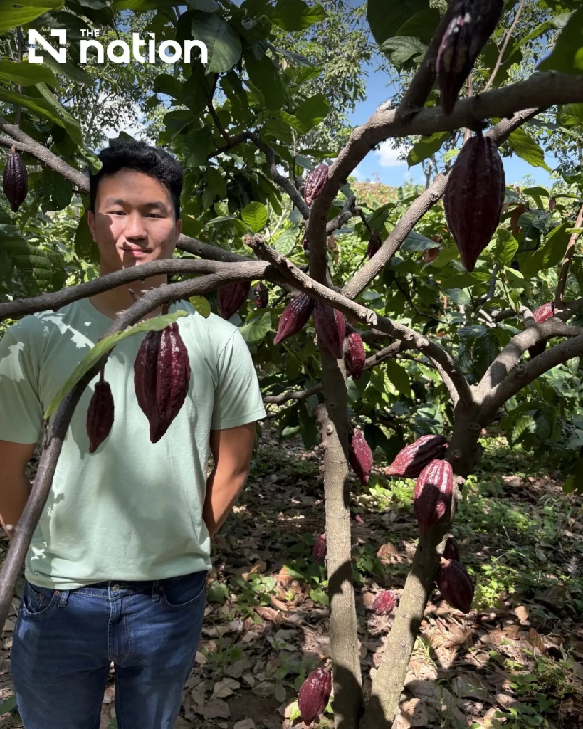 Thai Student Turns Backyard Cacao Experiments Into Fermentation Technology and Craft Chocolate