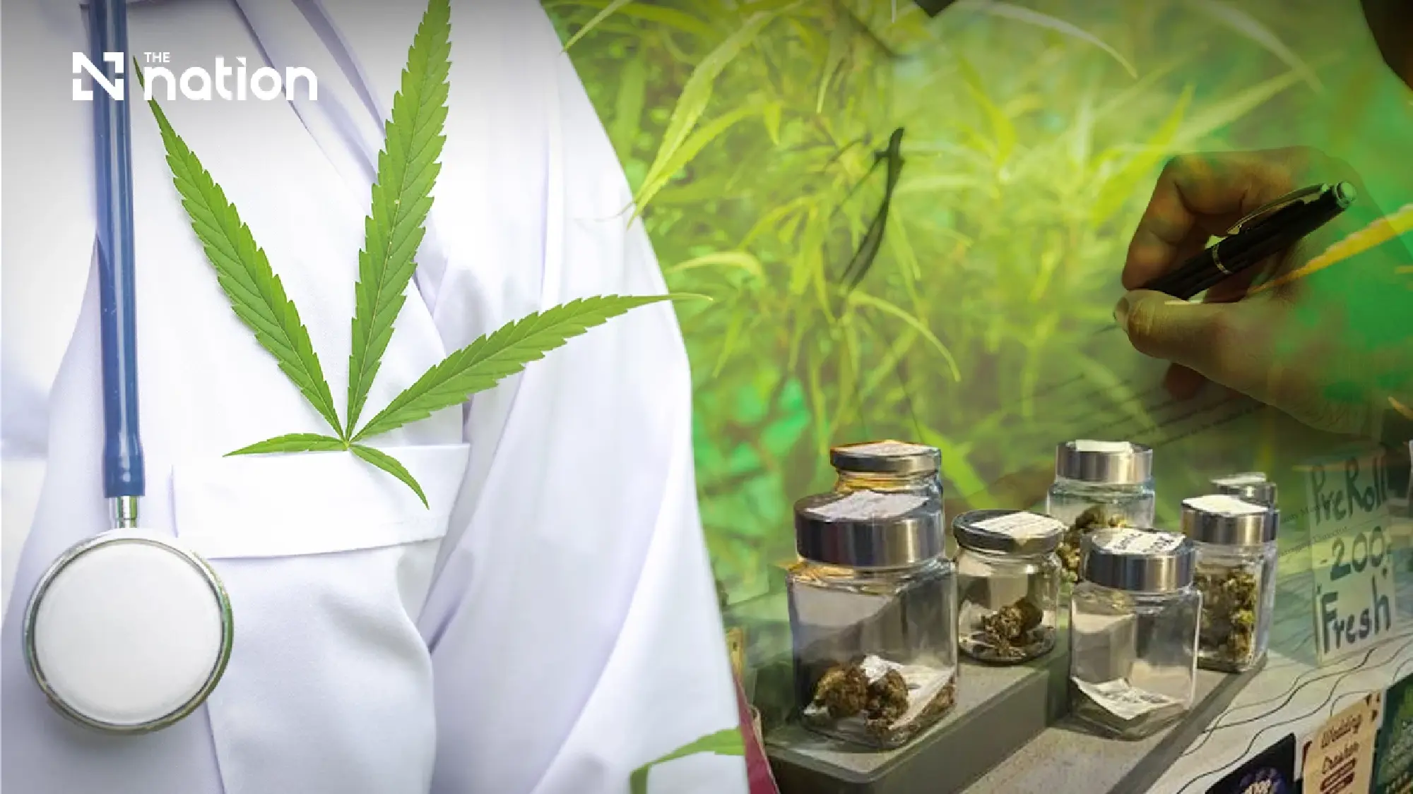 Thai cabinet endorses draft cannabis control bill for medical use