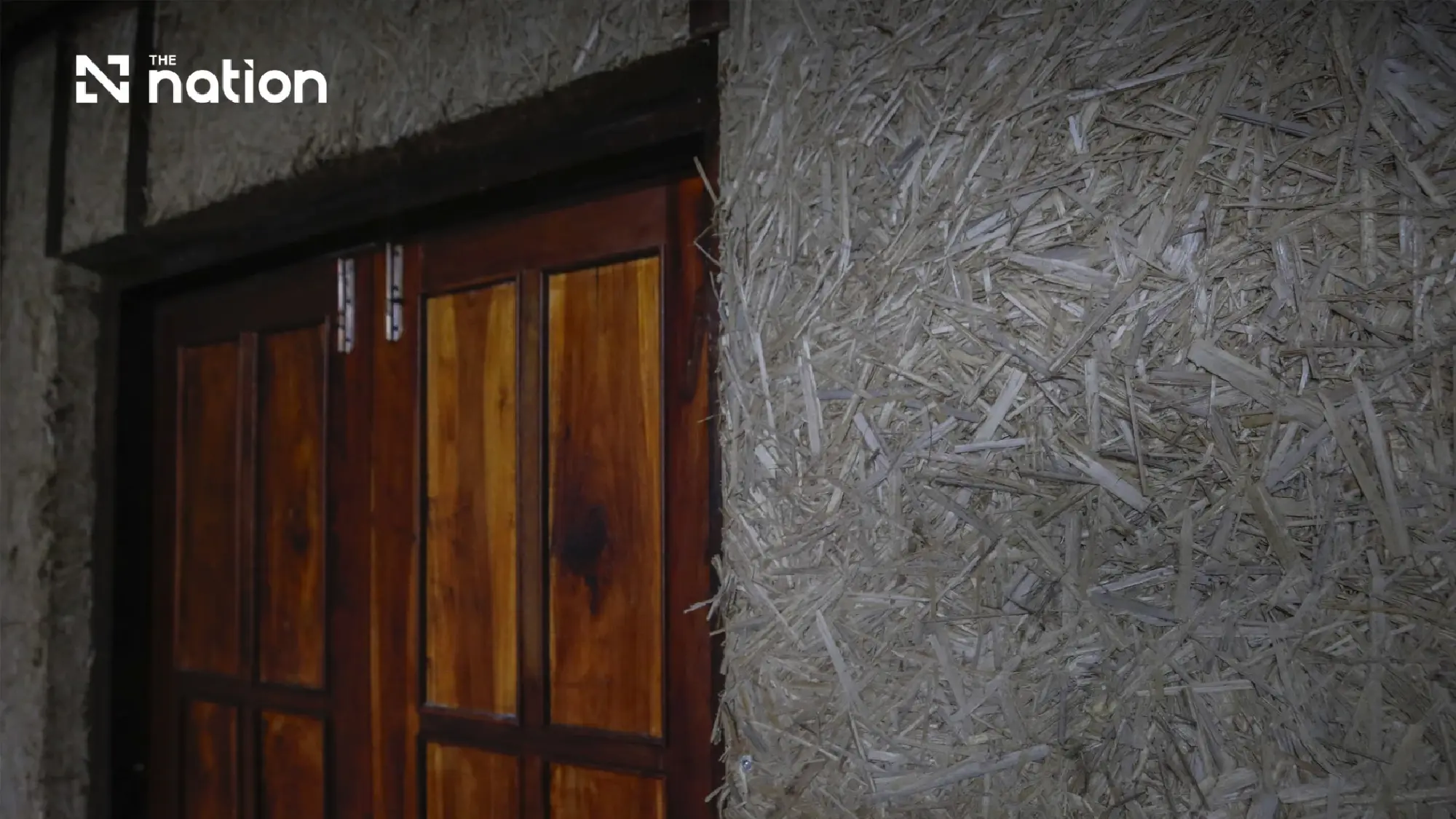 'Typha Pilot House': A Green Innovation to Fight Global Warming