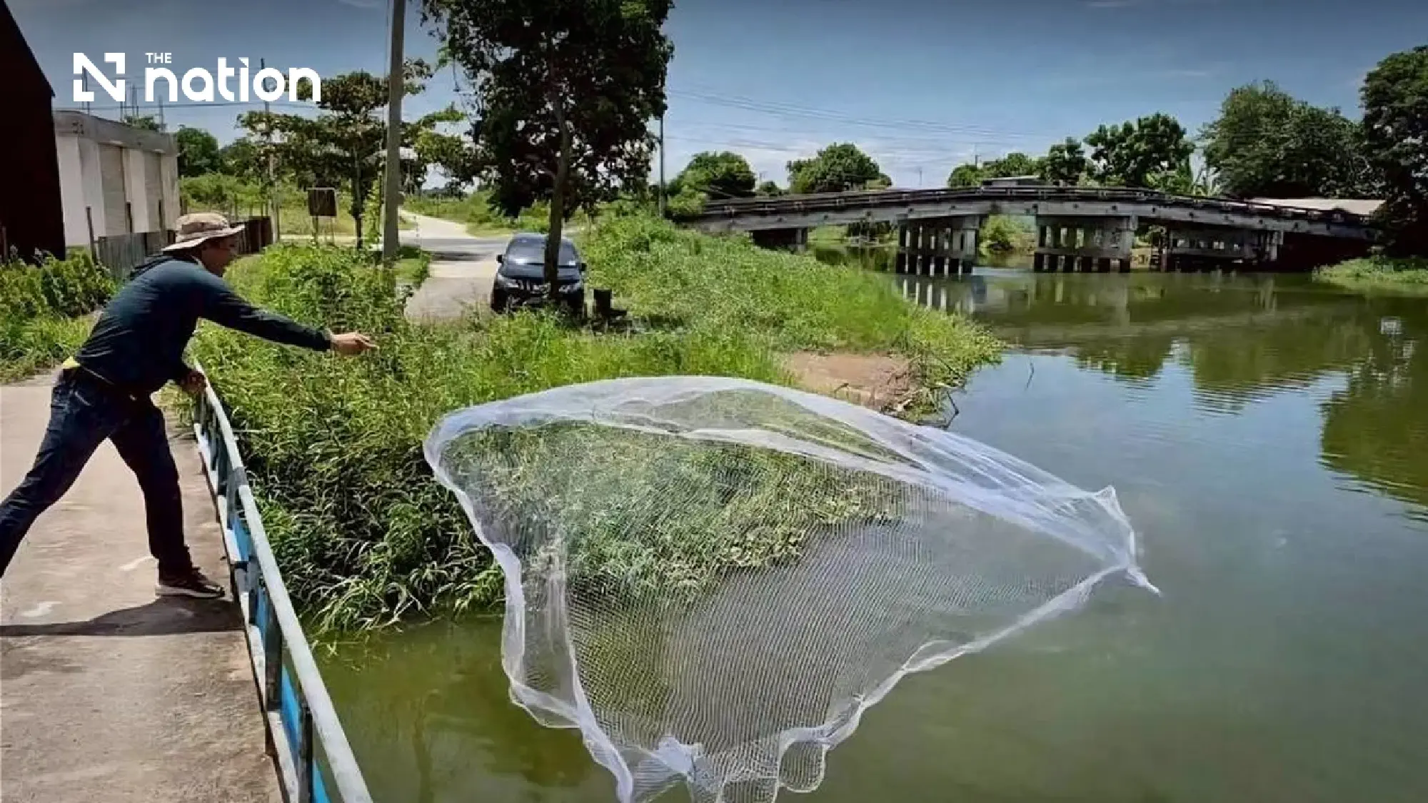 Thailand’s Blackchin Tilapia Debate: What Evidence Is Still Needed? 