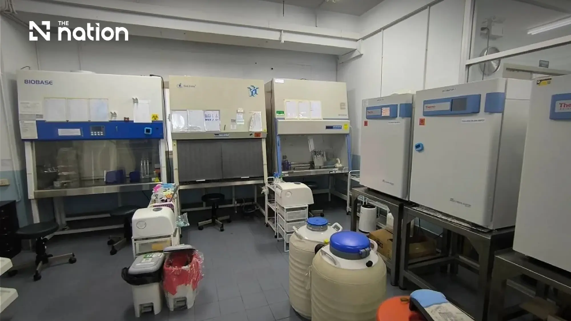 Thai Scientists Turn Dog Fat into Potential Diabetes Cure for Pets