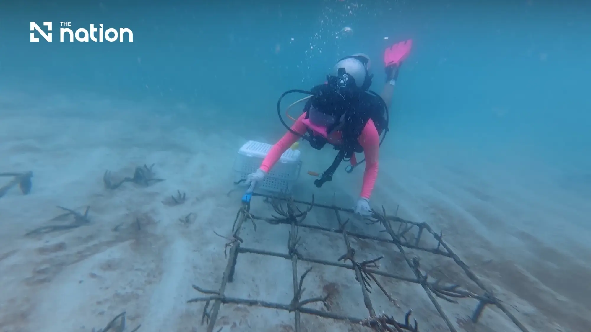 Meet the Thai Youth Bridging the Gap Between Classrooms and Reefs