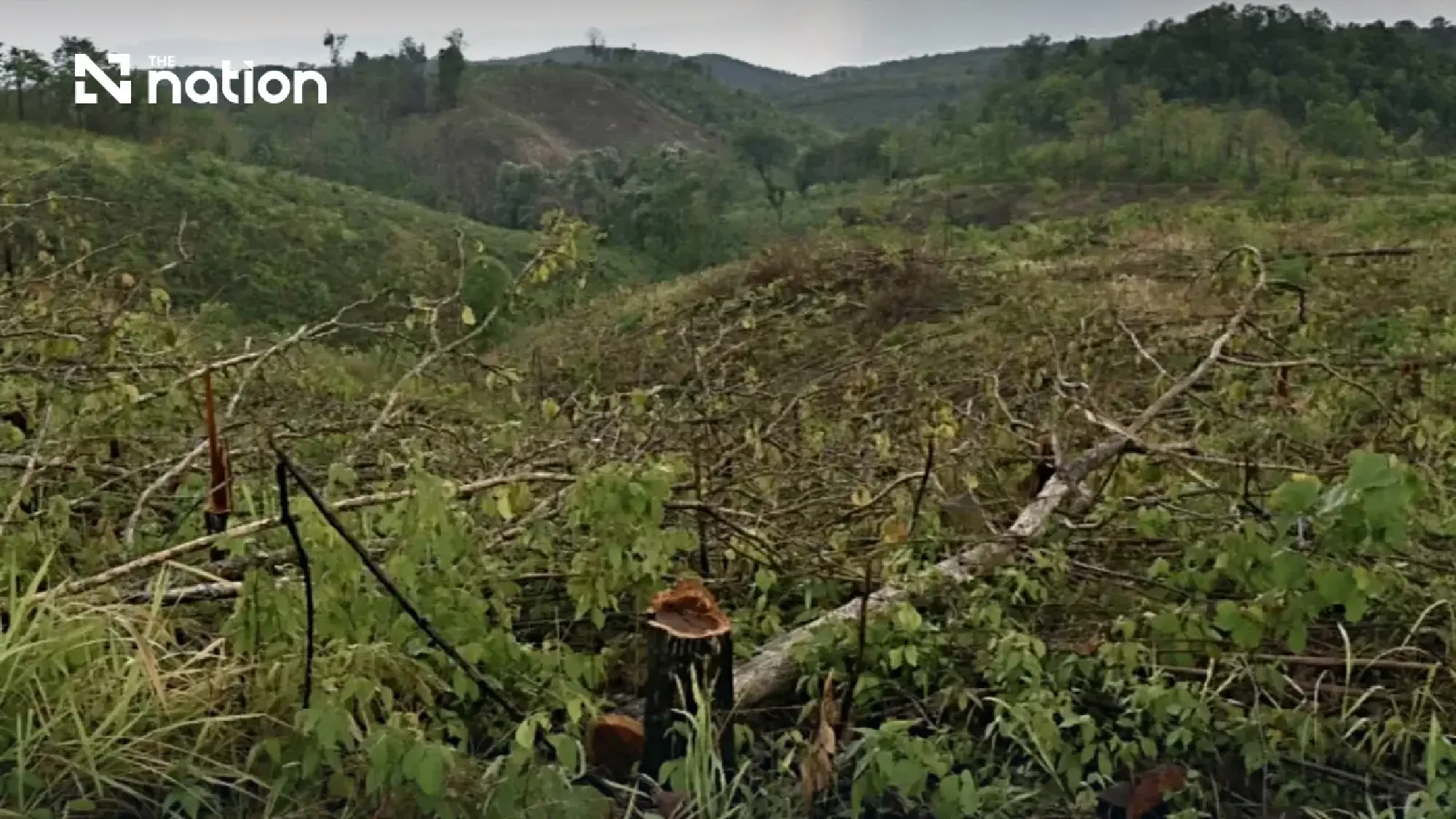 Senator urges Section 25 clearance over alleged 960-hectare Chiang Mai forest grab