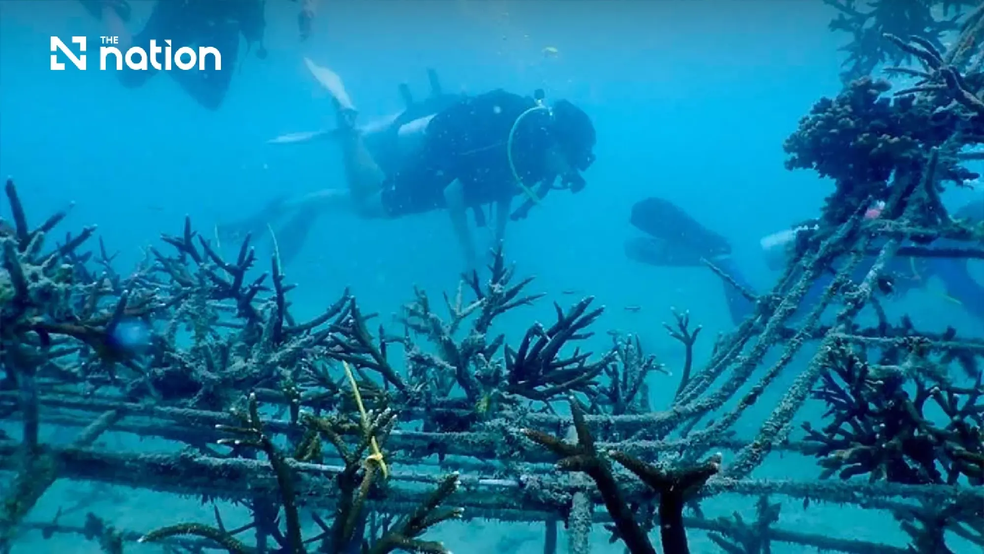 Meet the Thai Youth Bridging the Gap Between Classrooms and Reefs
