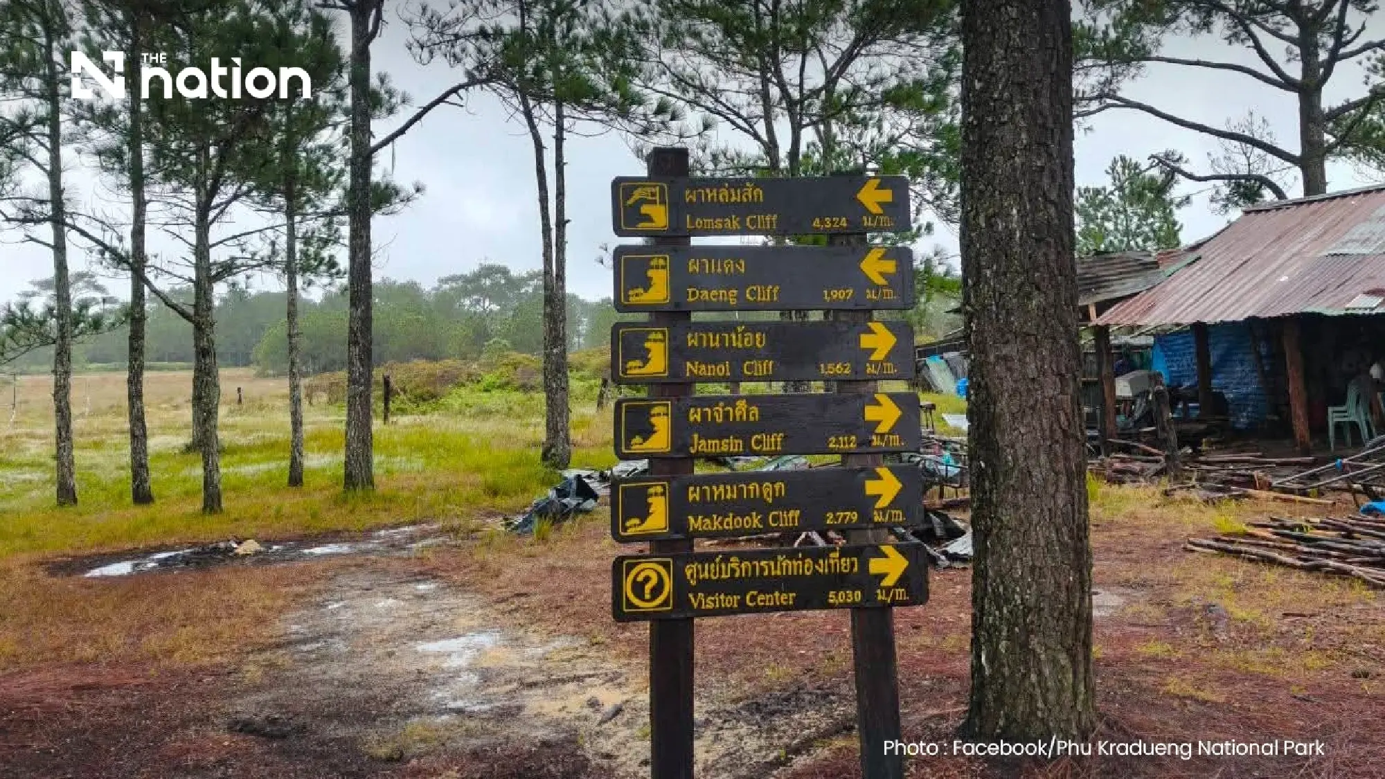 Phu Kradueng National Park reopens for 2026-27 hiking season