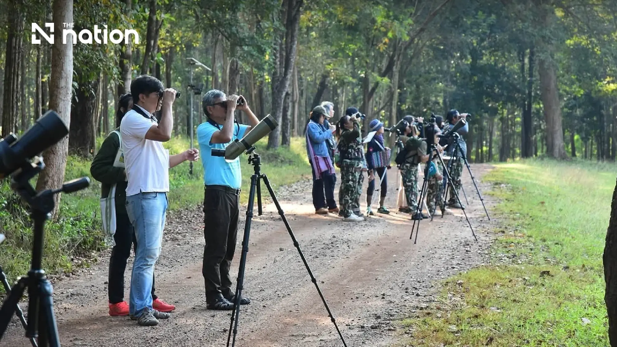 Huai Kha Khaeng opens seven sites, keeps trails closed