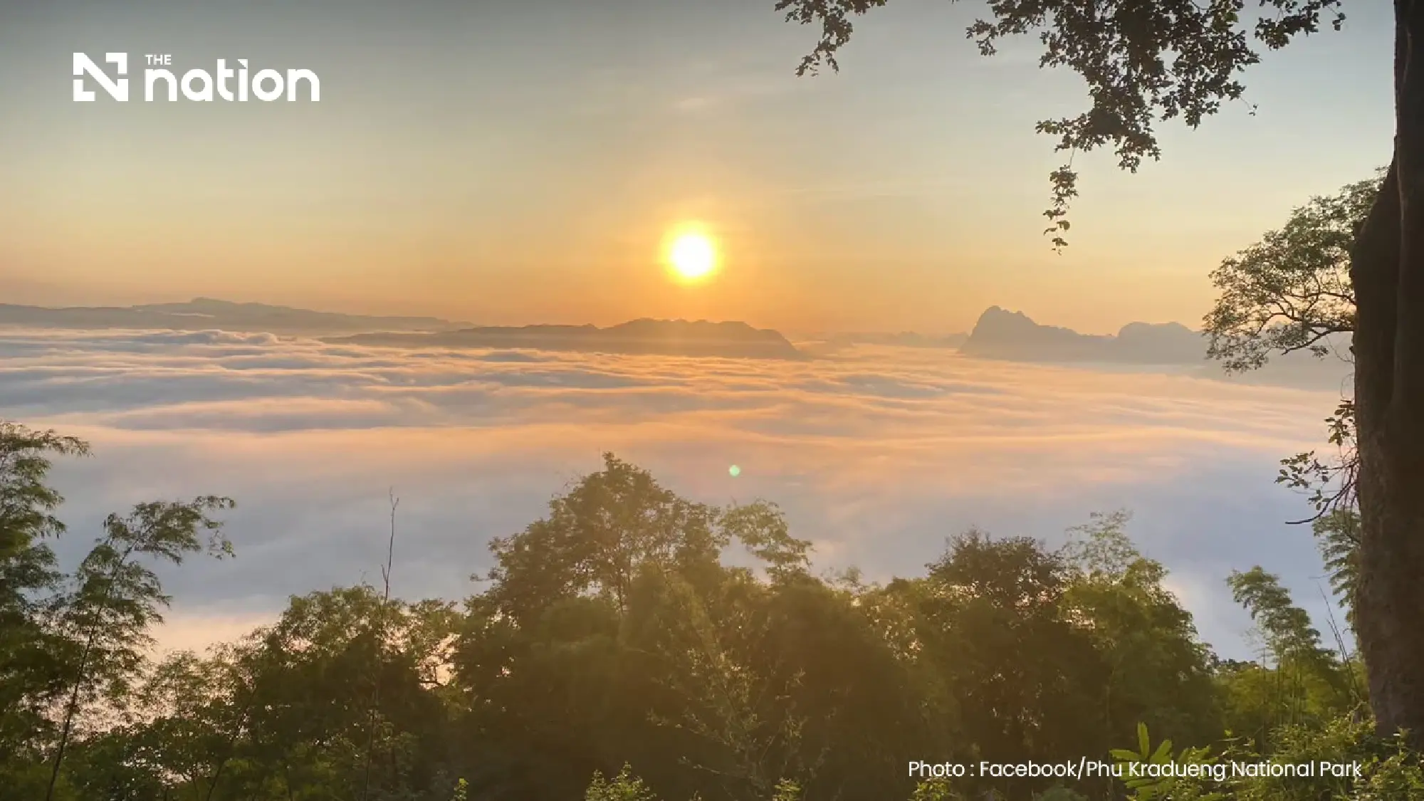 Phu Kradueng National Park reopens for 2026-27 hiking season