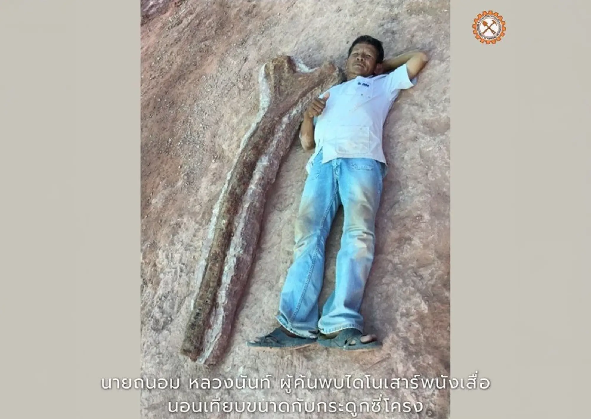 The Dawn of the Siamese Giants: Celebrating 50 Years of Thailand’s Dinosaur Renaissance