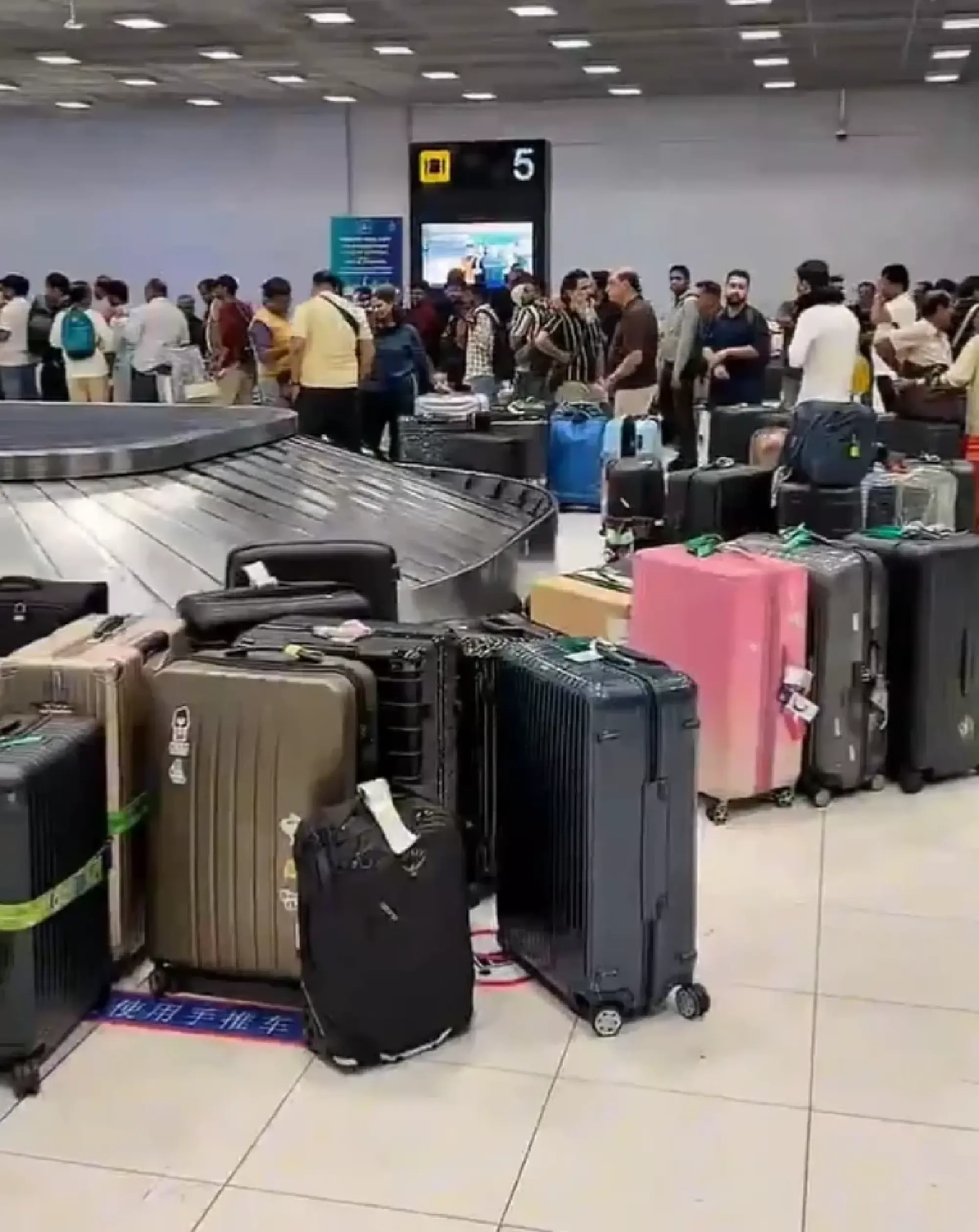 Thai Airways Faces Backlash Over Baggage Blunder
