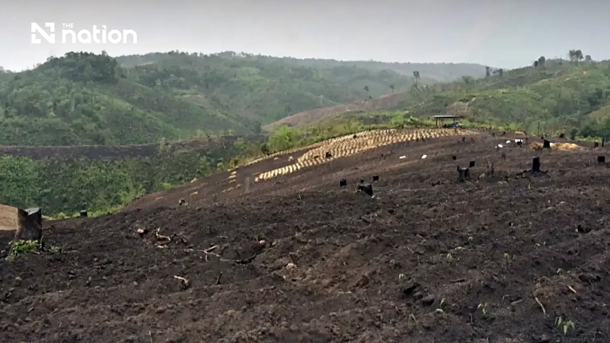 Senator urges Section 25 clearance over alleged 960-hectare Chiang Mai forest grab