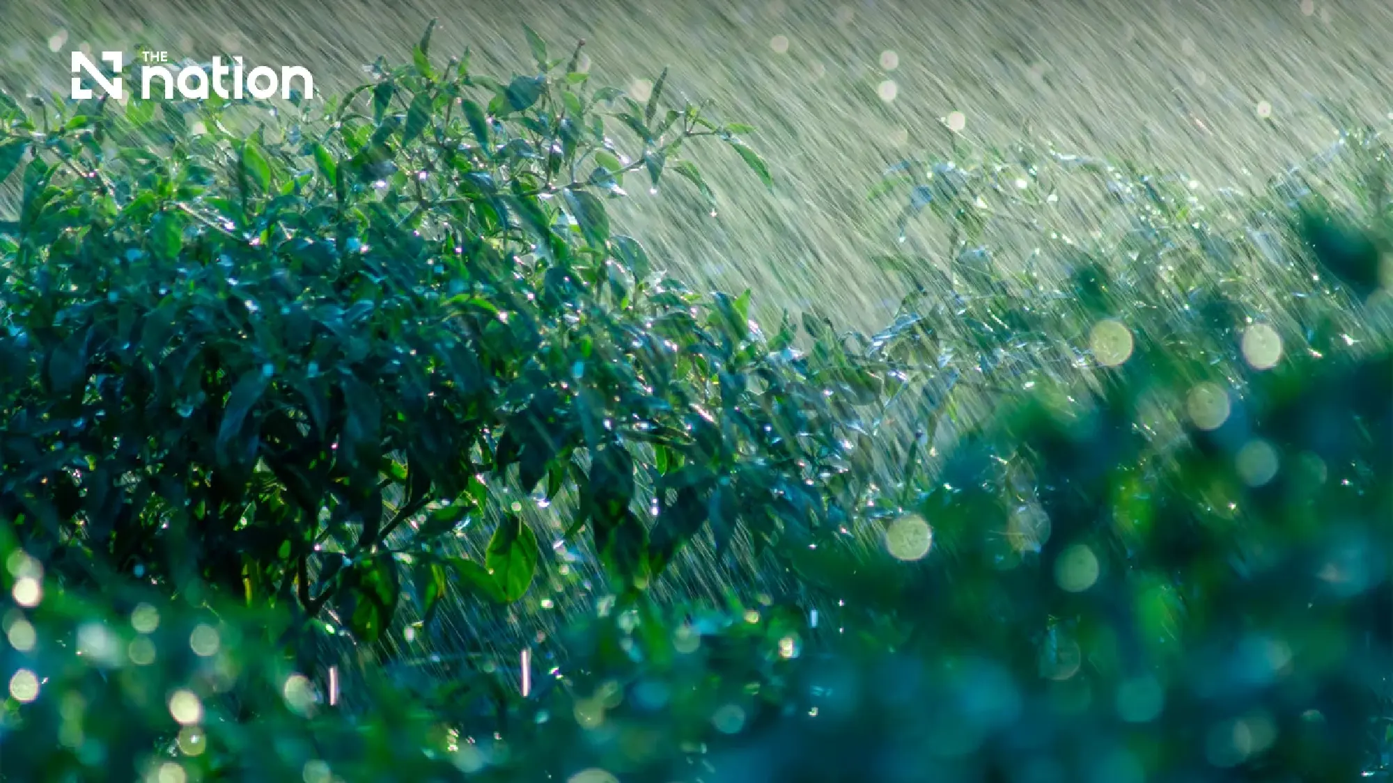 TMD warns of heavy rain and 2–3m Andaman waves September 17–20