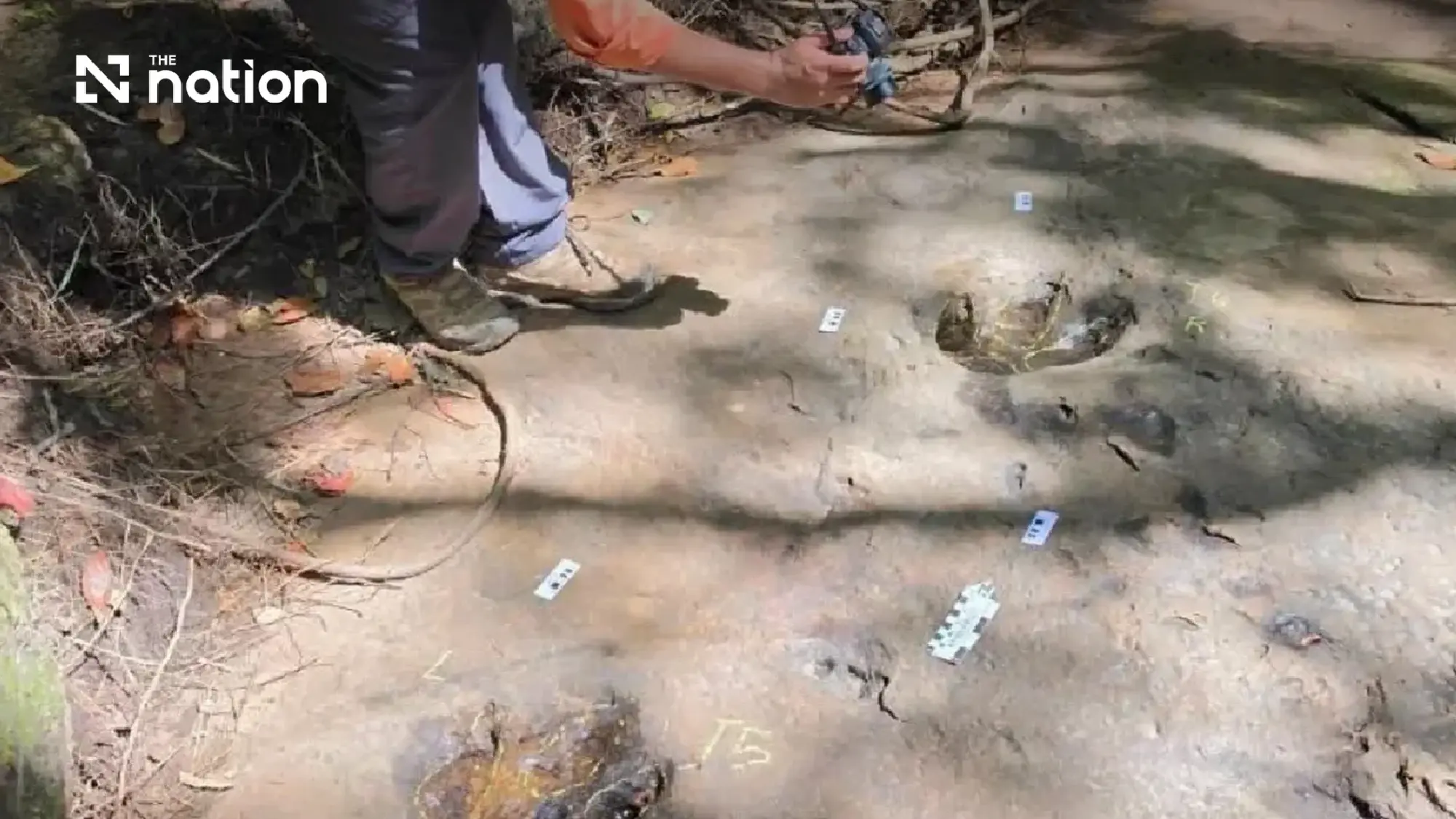 Thailand confirms six 120-million-year-old dinosaur footprints on October 20