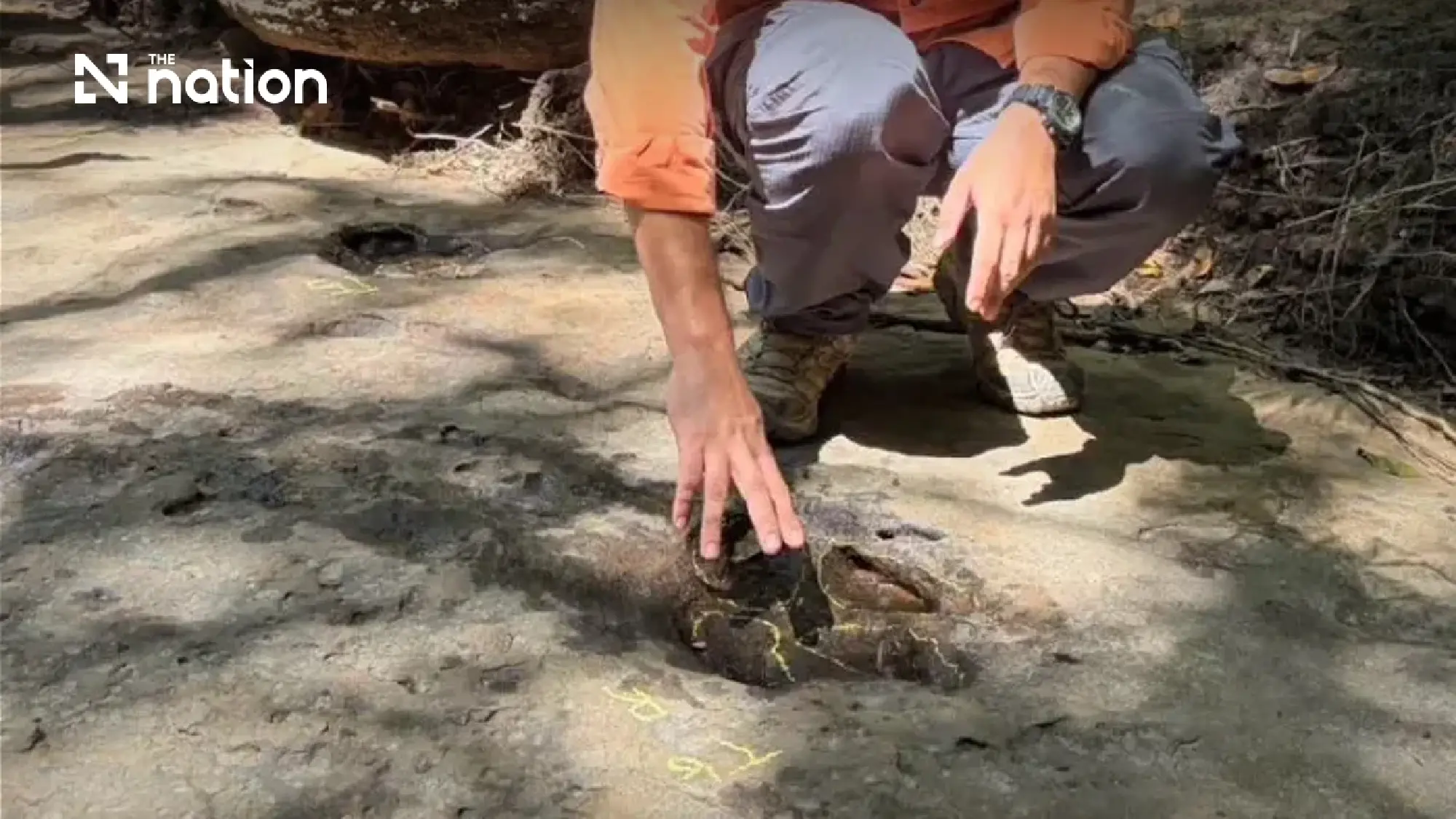 Fossil footprints span 12 Thai provinces with a 120-million-year-old trail in Udon Thani