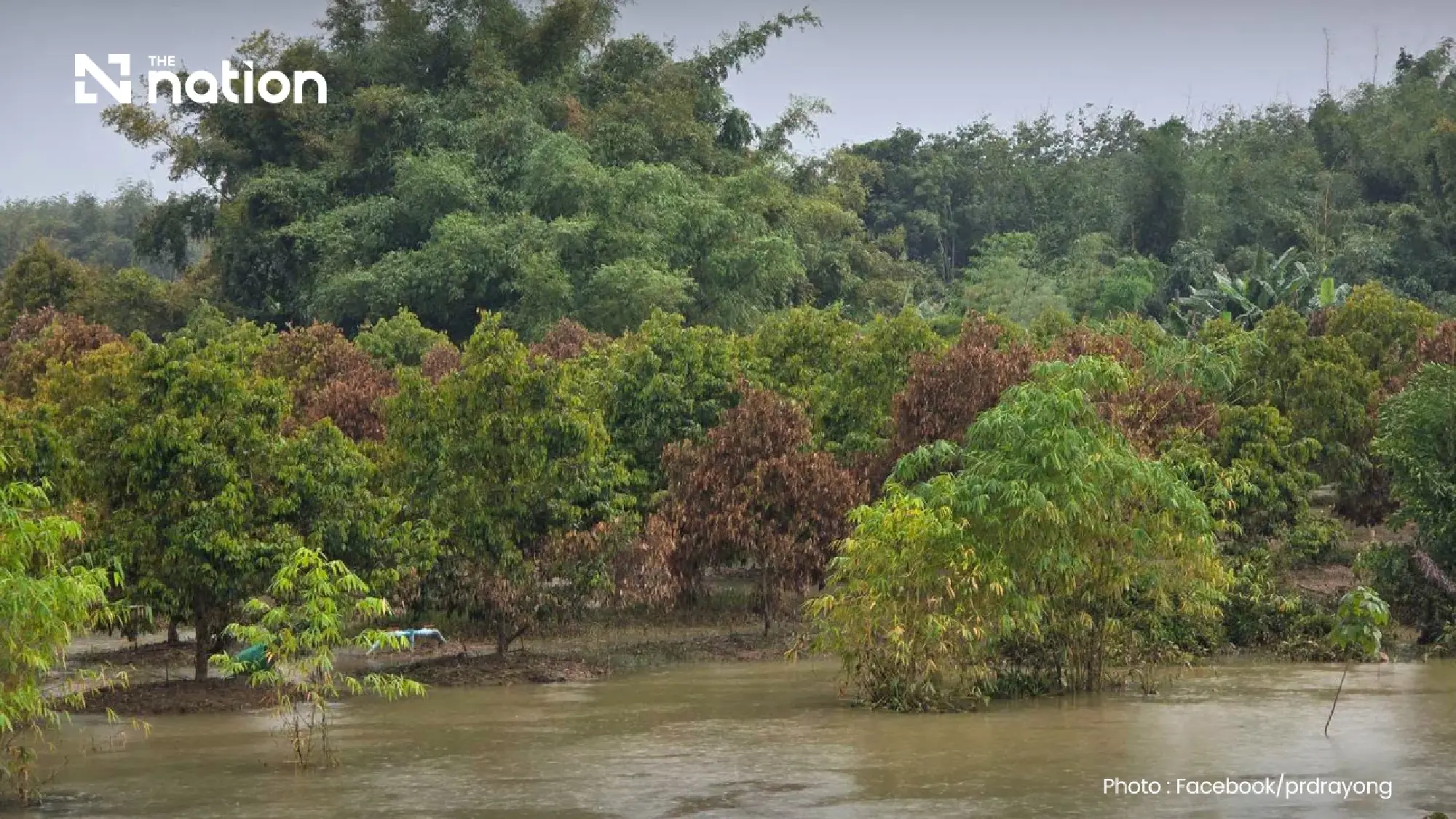 Thailand floods hit 1.7m rai including over 26,000 rai of orchards