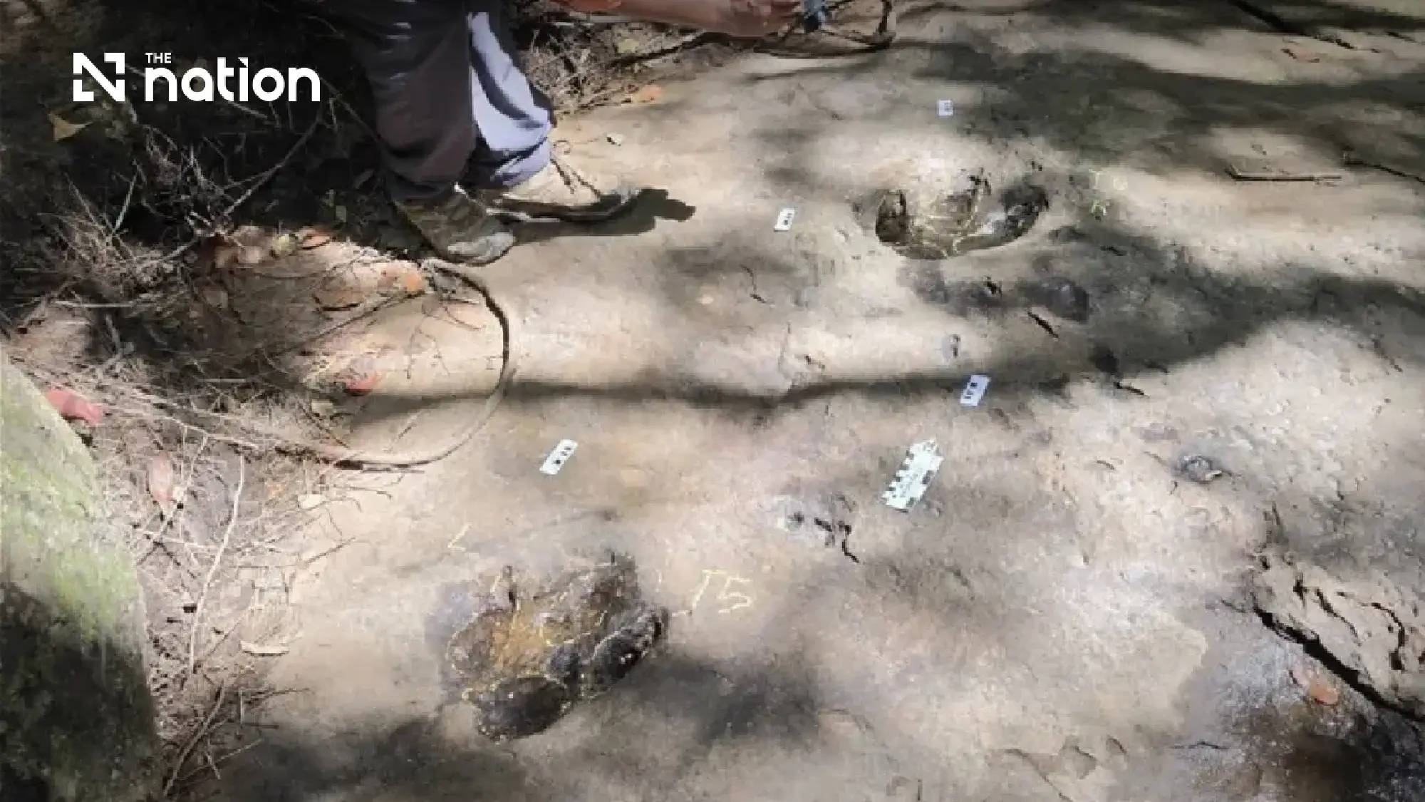 Fossil footprints span 12 Thai provinces with a 120-million-year-old trail in Udon Thani