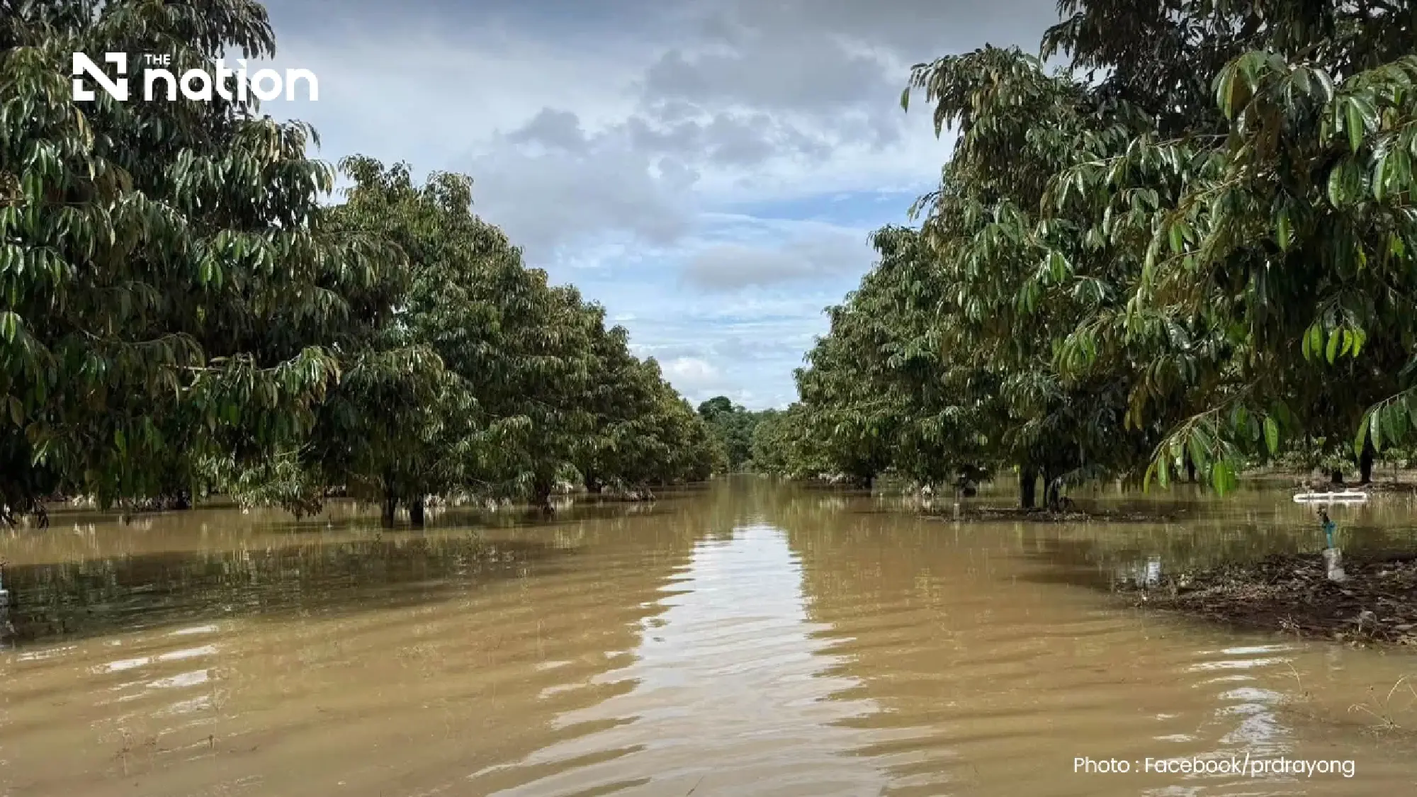 Thailand floods hit 1.7m rai including over 26,000 rai of orchards