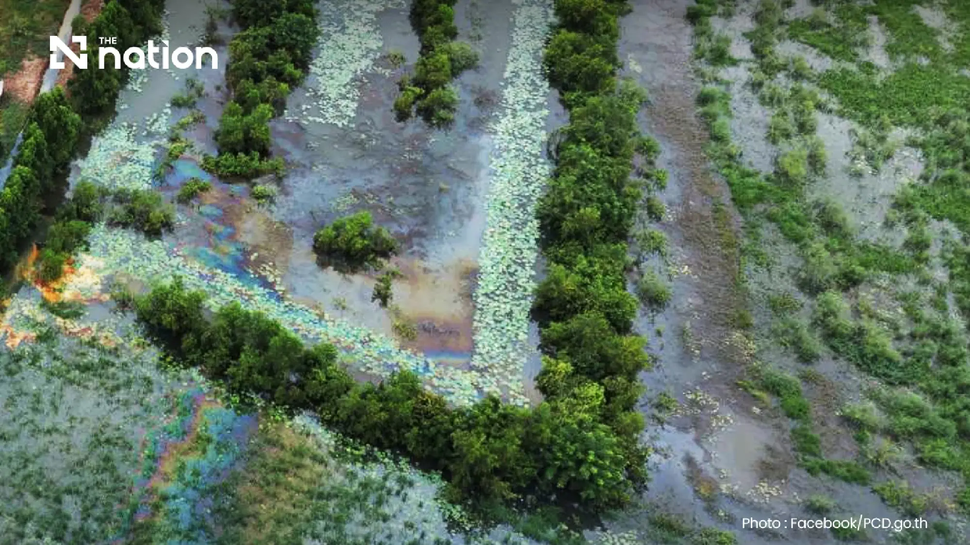 Prachin Buri chemical leak puts two firms’ ownership under scrutiny