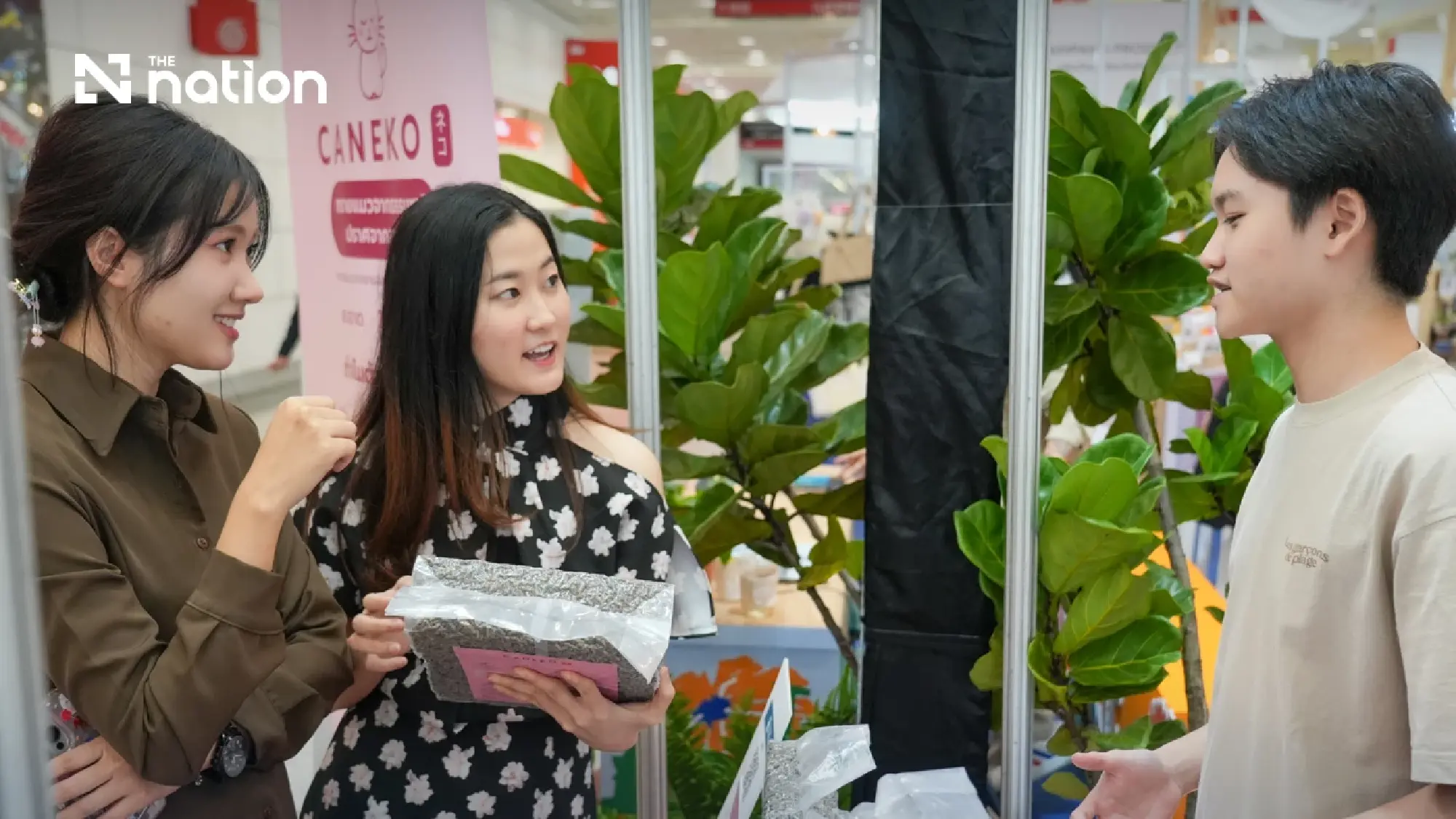 From Student Competition to Store Shelves: Caneko Turns Sugarcane Bagasse into Cat Litter 