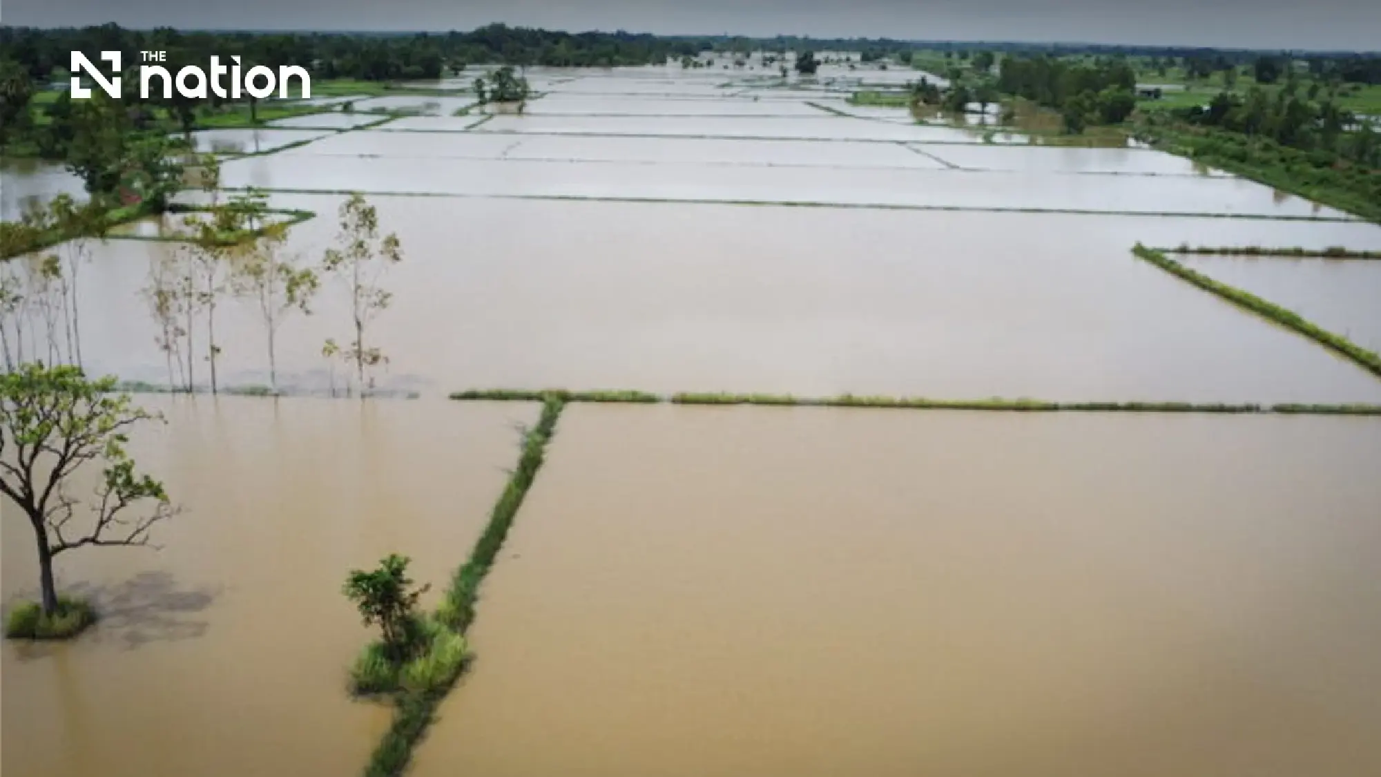 Floods hit Thai farms, exports and growth as losses top THB69bn