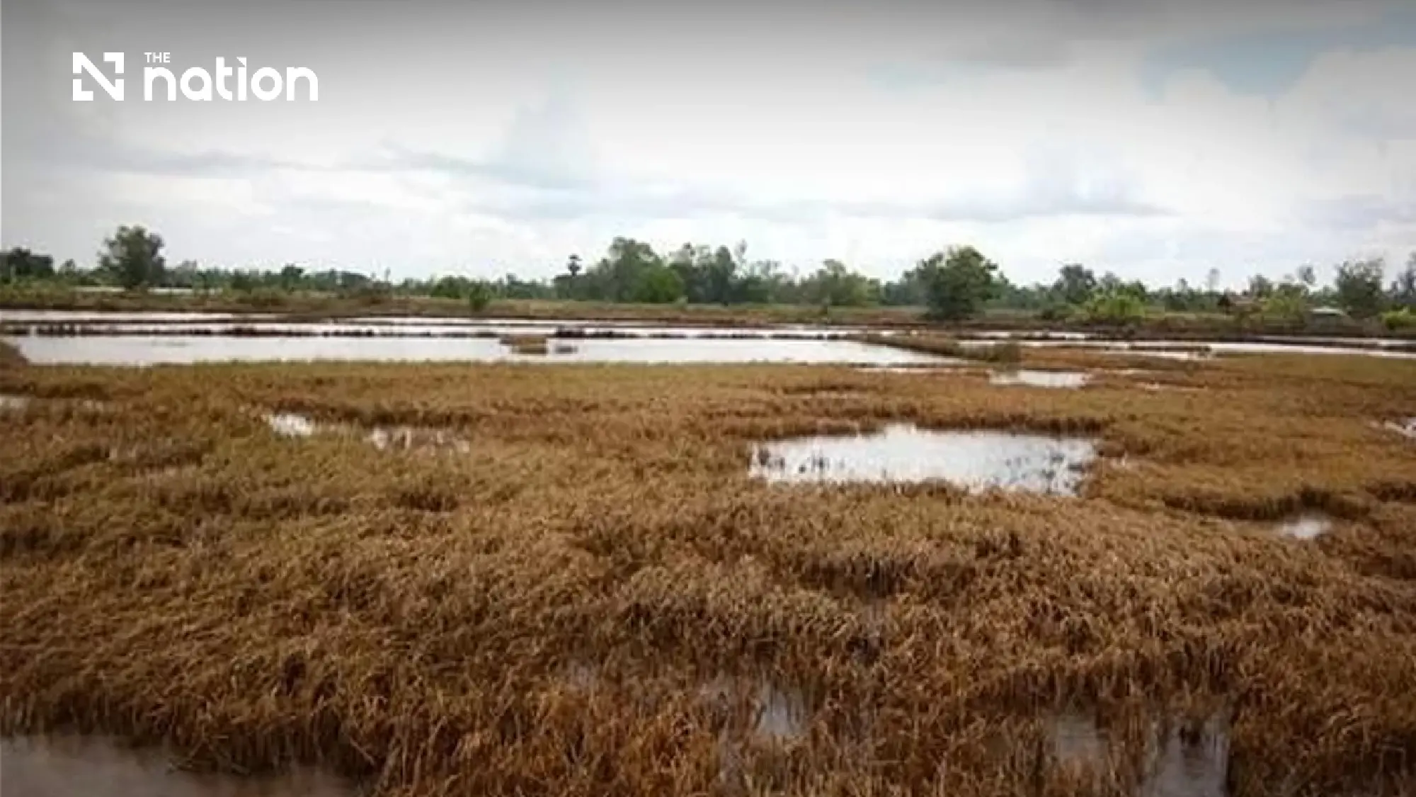 Floods hit Thai farms, exports and growth as losses top THB69bn