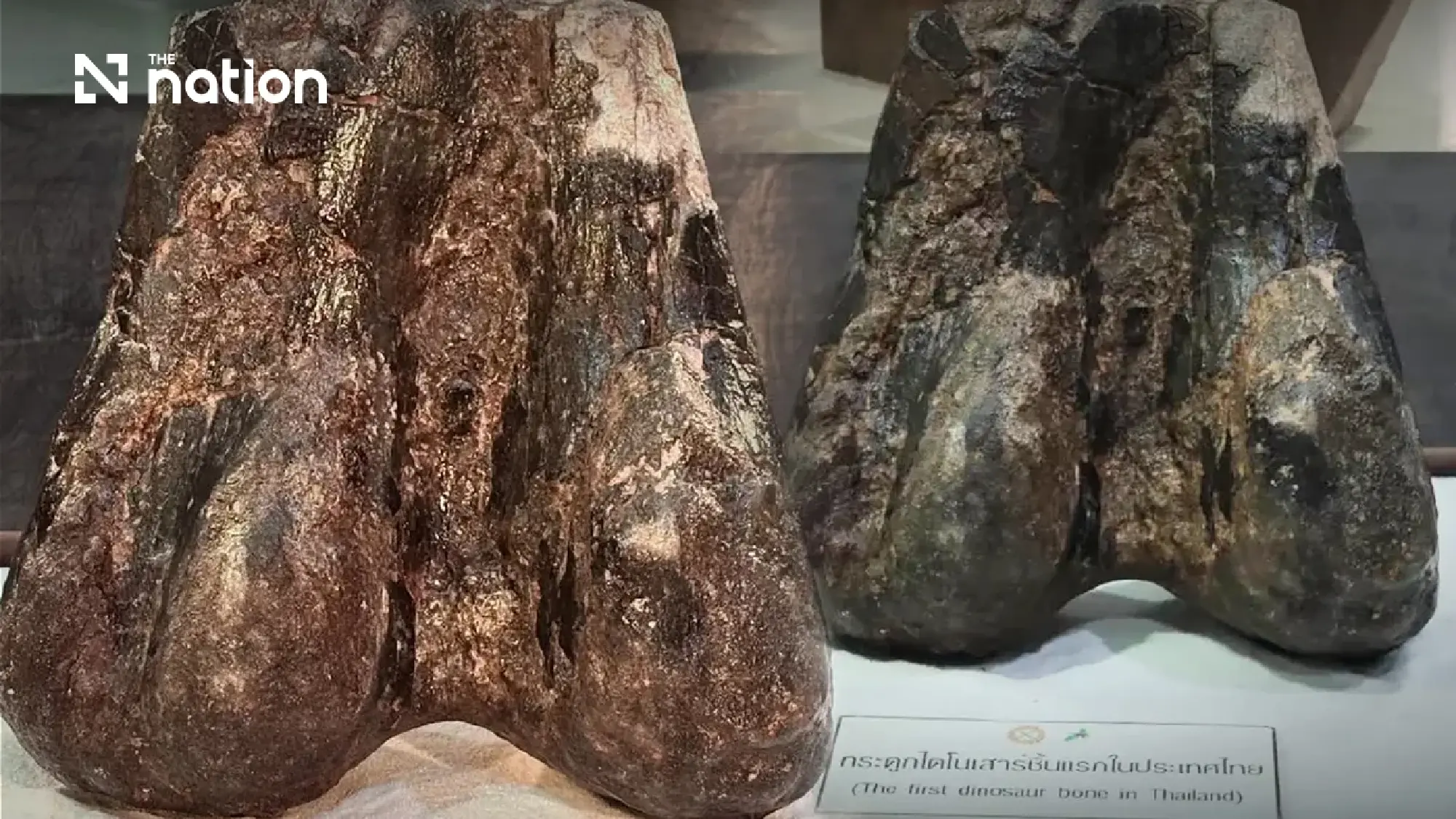 Fossil footprints span 12 Thai provinces with a 120-million-year-old trail in Udon Thani