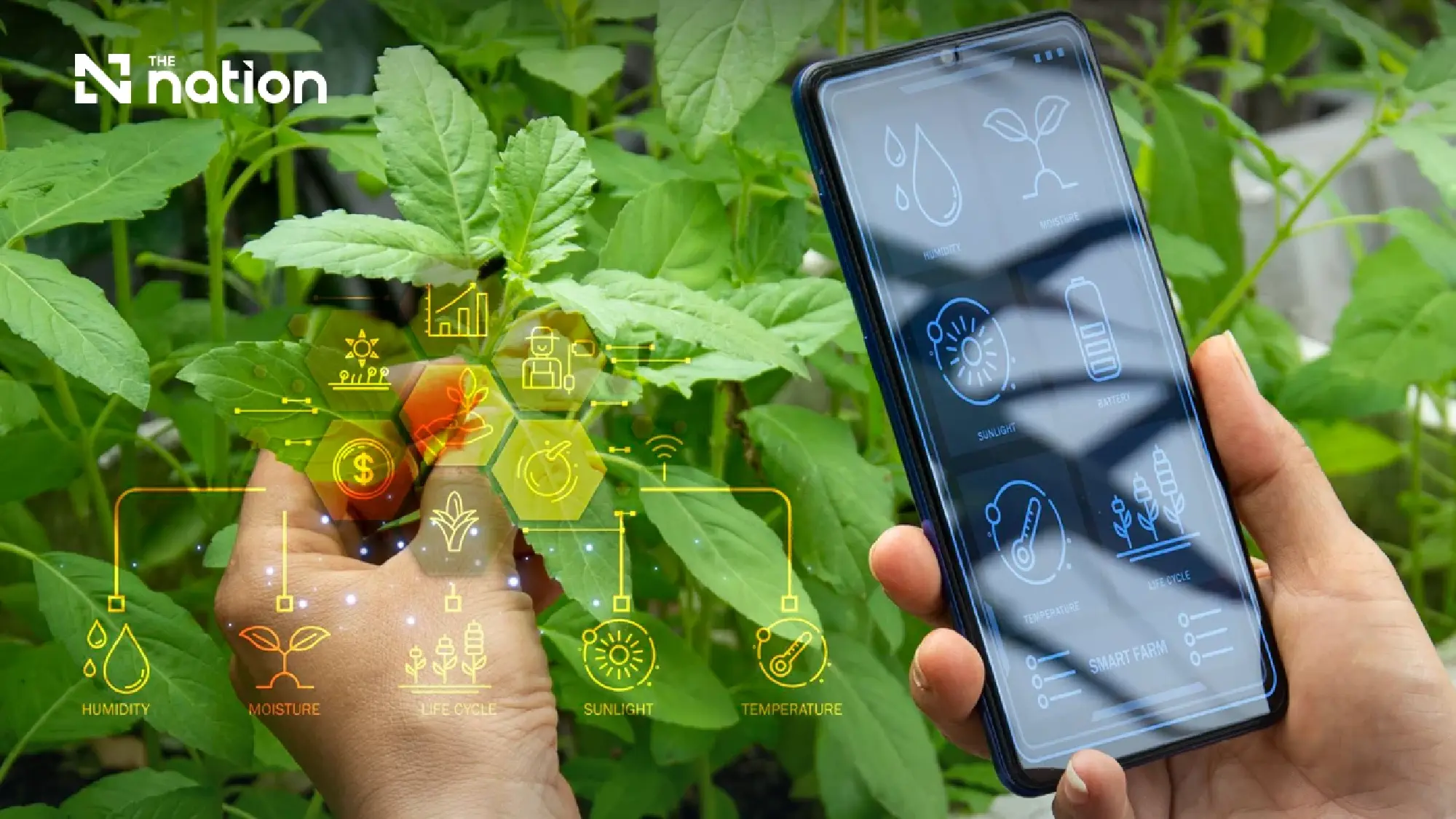 Chula links science and business to raise the value of Thai crops